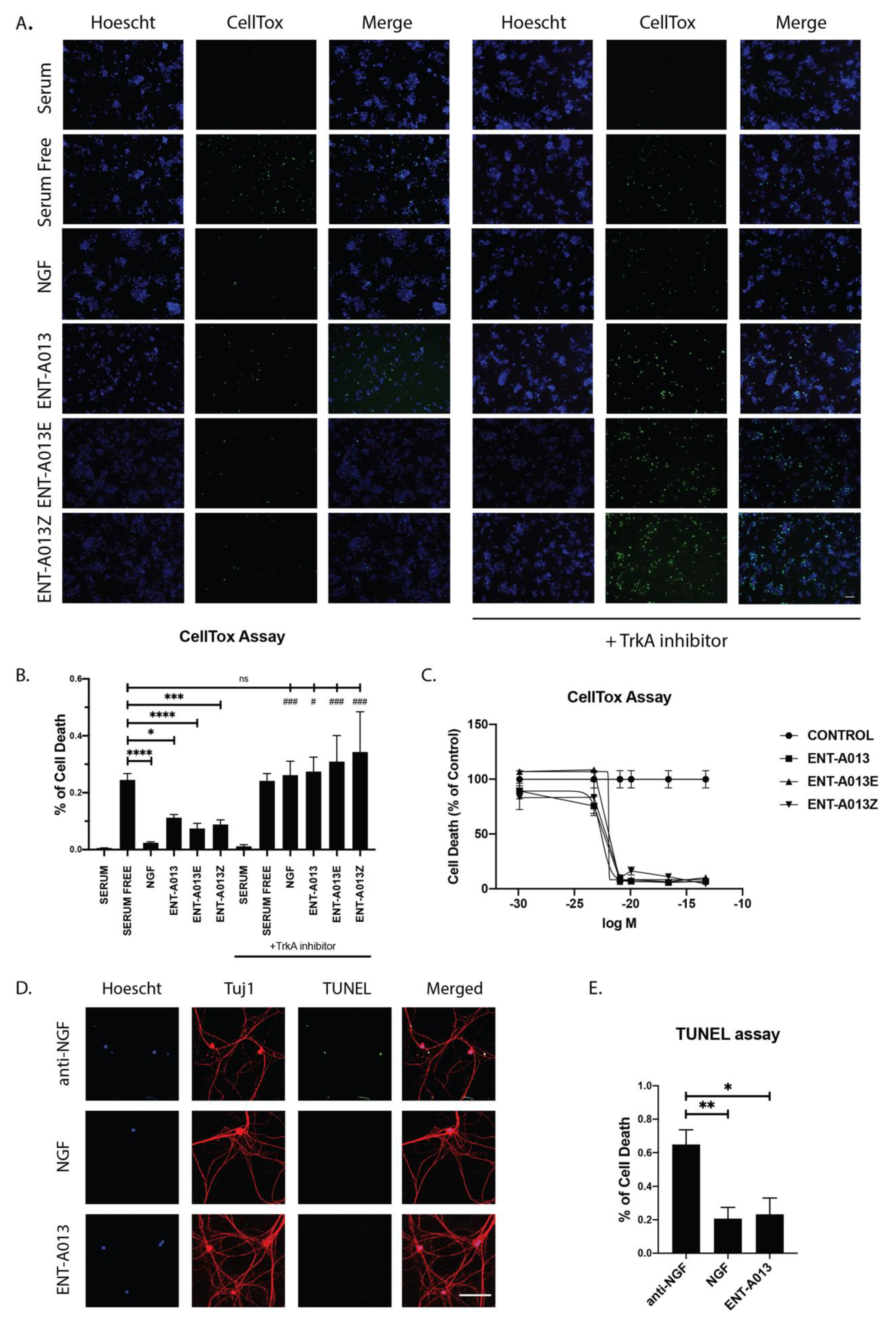 Biomedicines 10 00614 g004