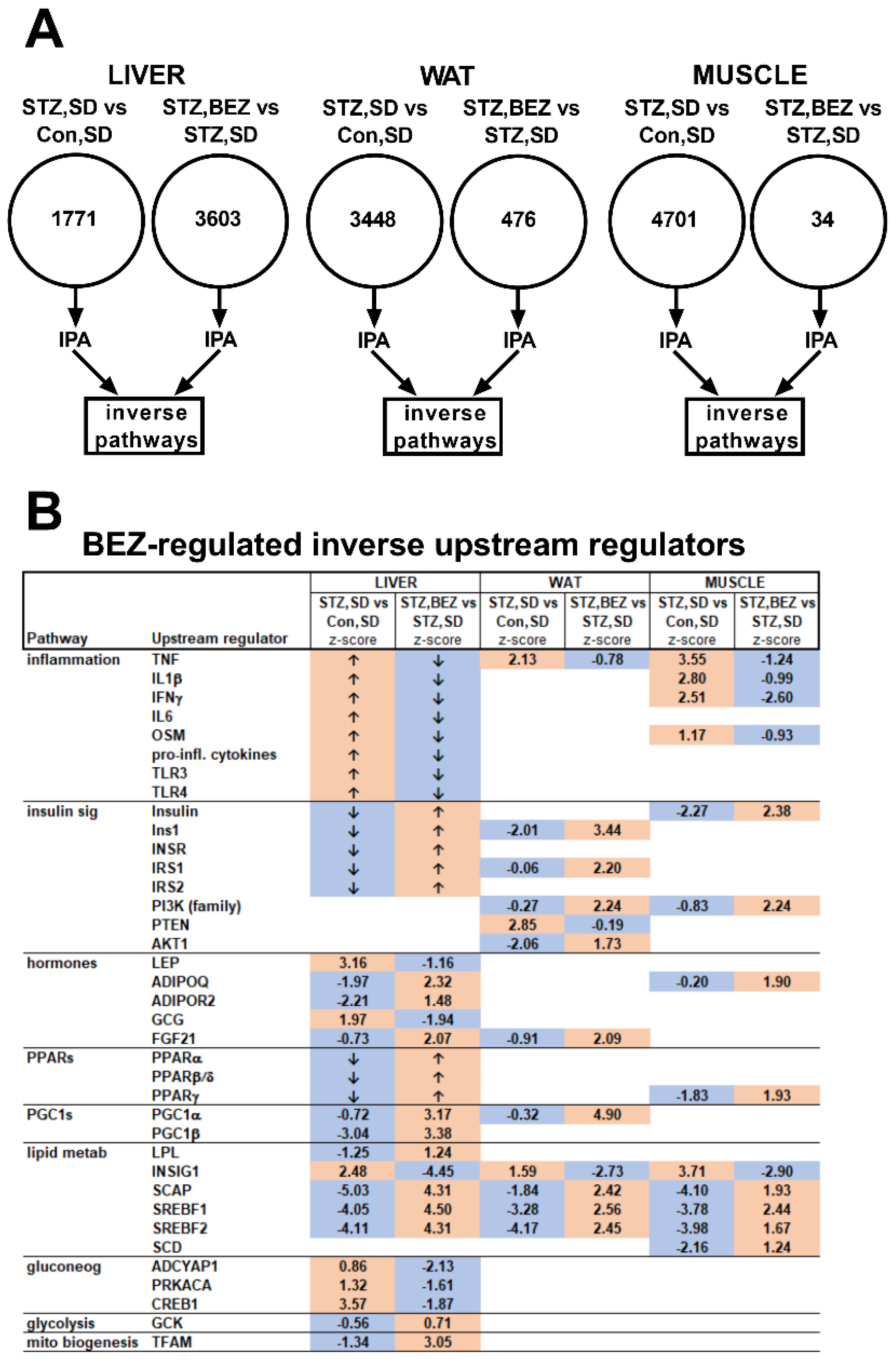 Biomedicines 10 00616 g001 Biomedicines 10 00616 g001