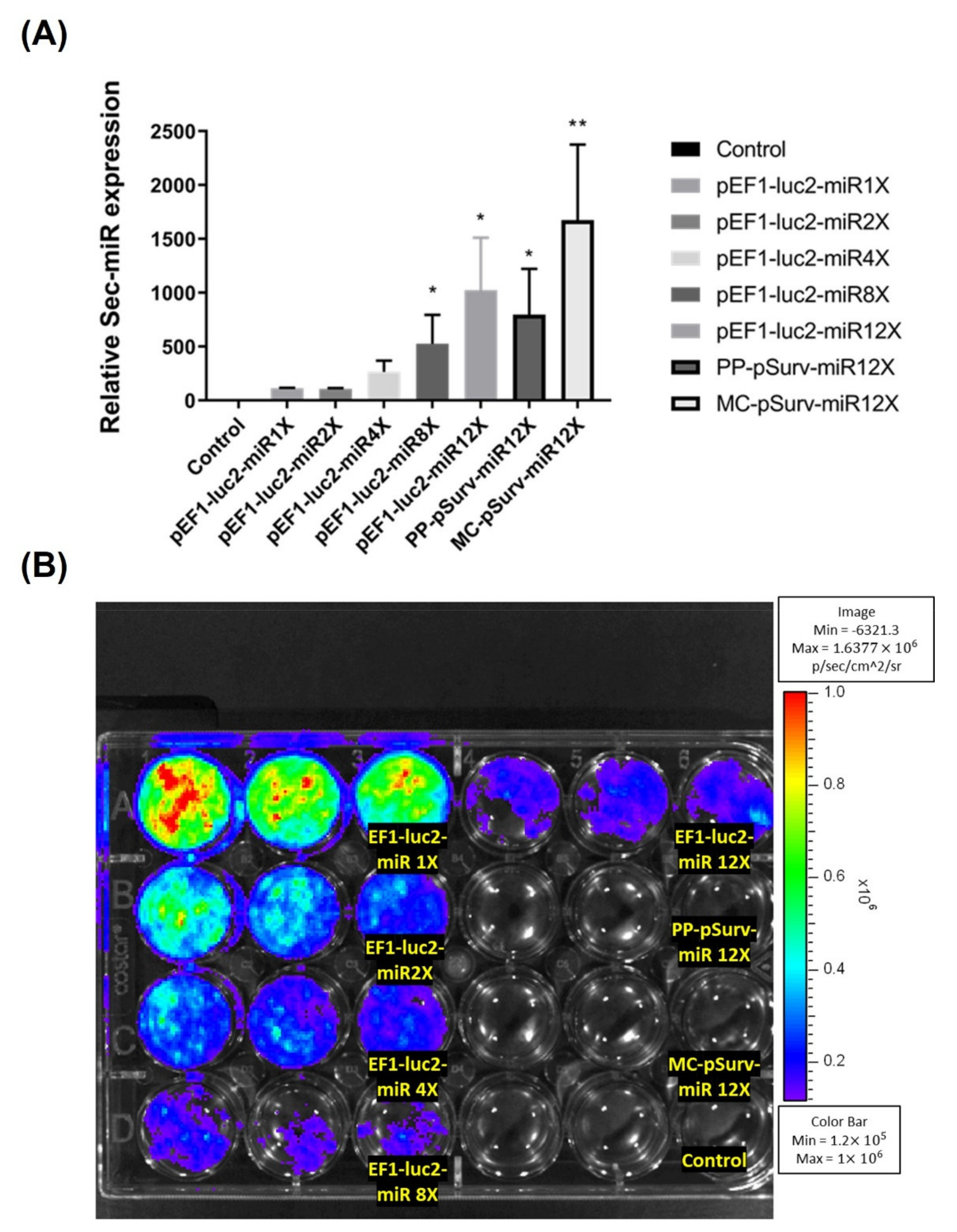 Biomedicines 10 00621 g001