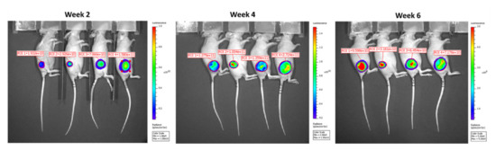 Biomedicines 10 00621 g0a2