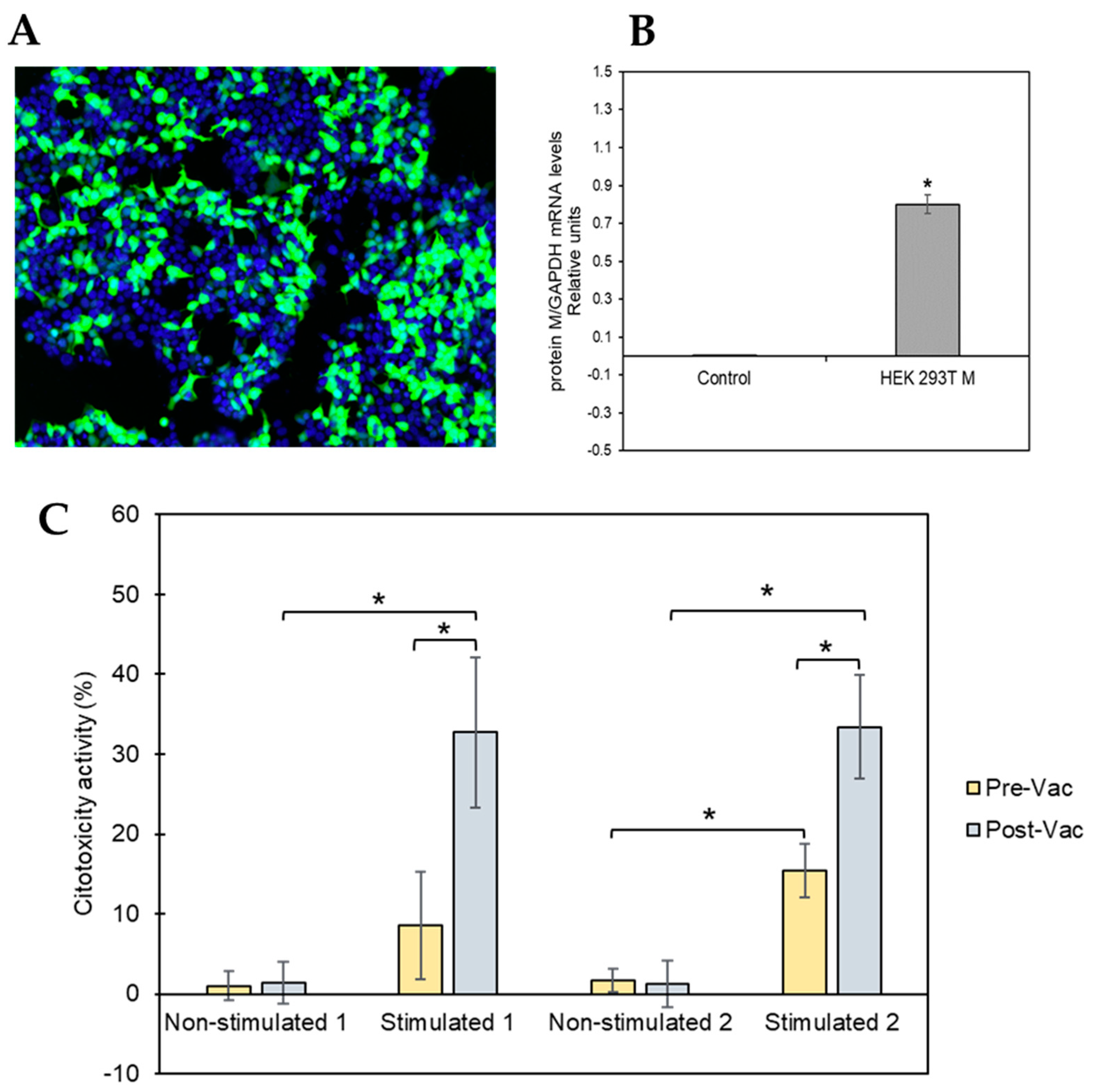 Biomedicines 10 00630 g003