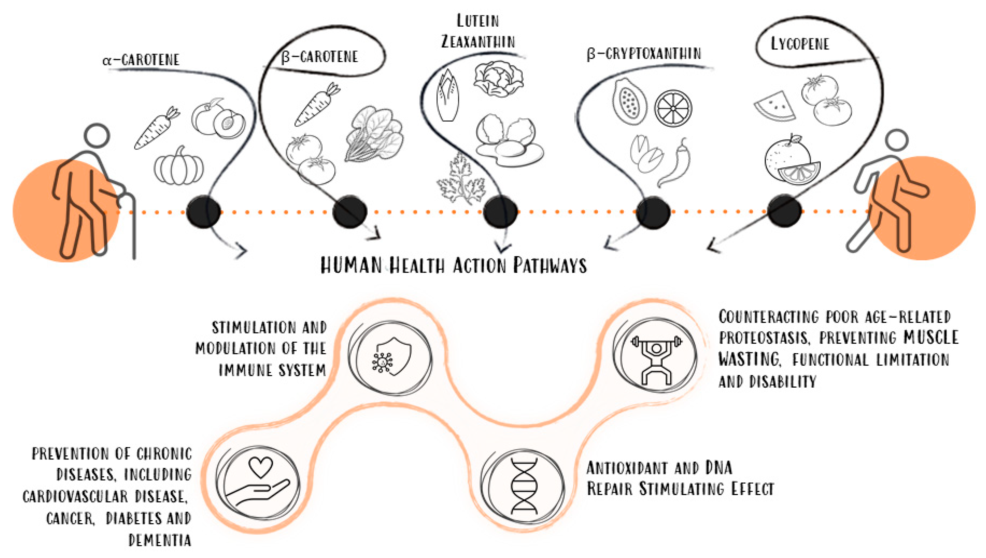 Biomedicines 10 00632 g002