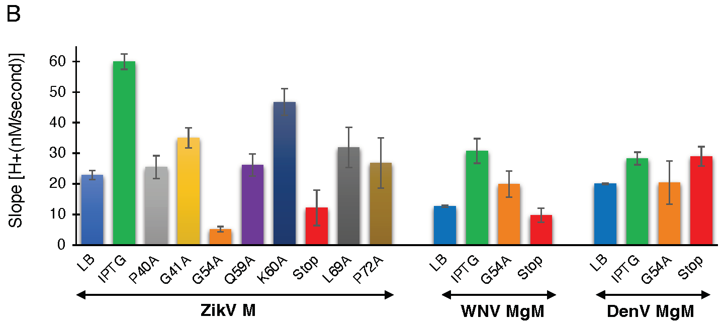 Biomedicines 10 00641 g003b