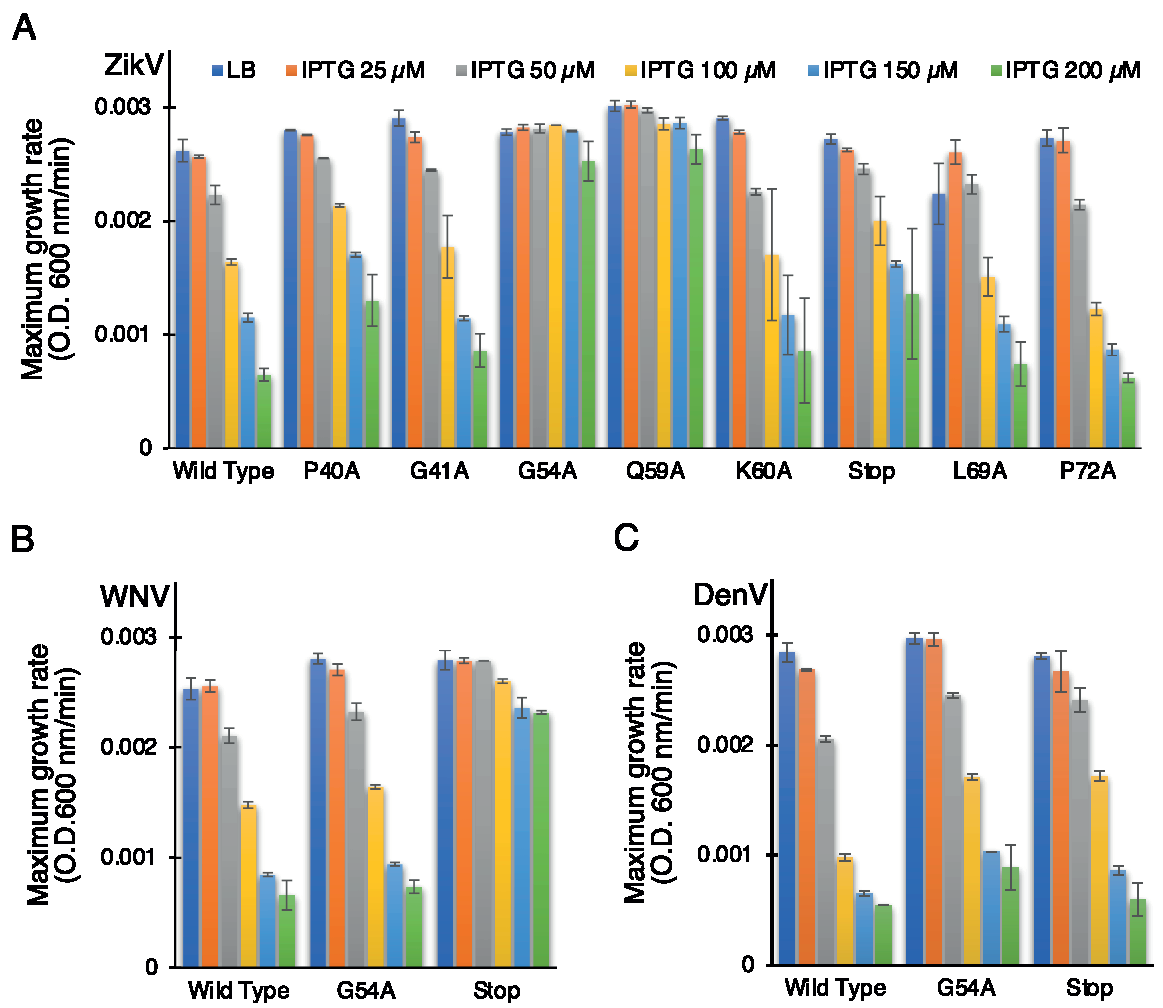 Biomedicines 10 00641 g004