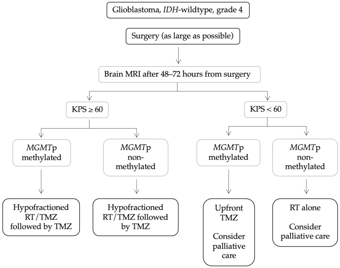 Biomedicines 10 00644 g001
