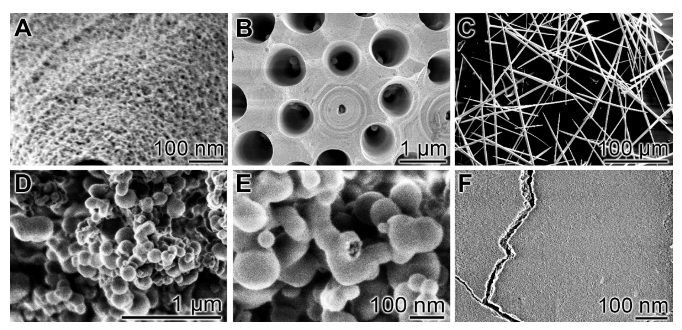 Biomedicines 10 00658 g003