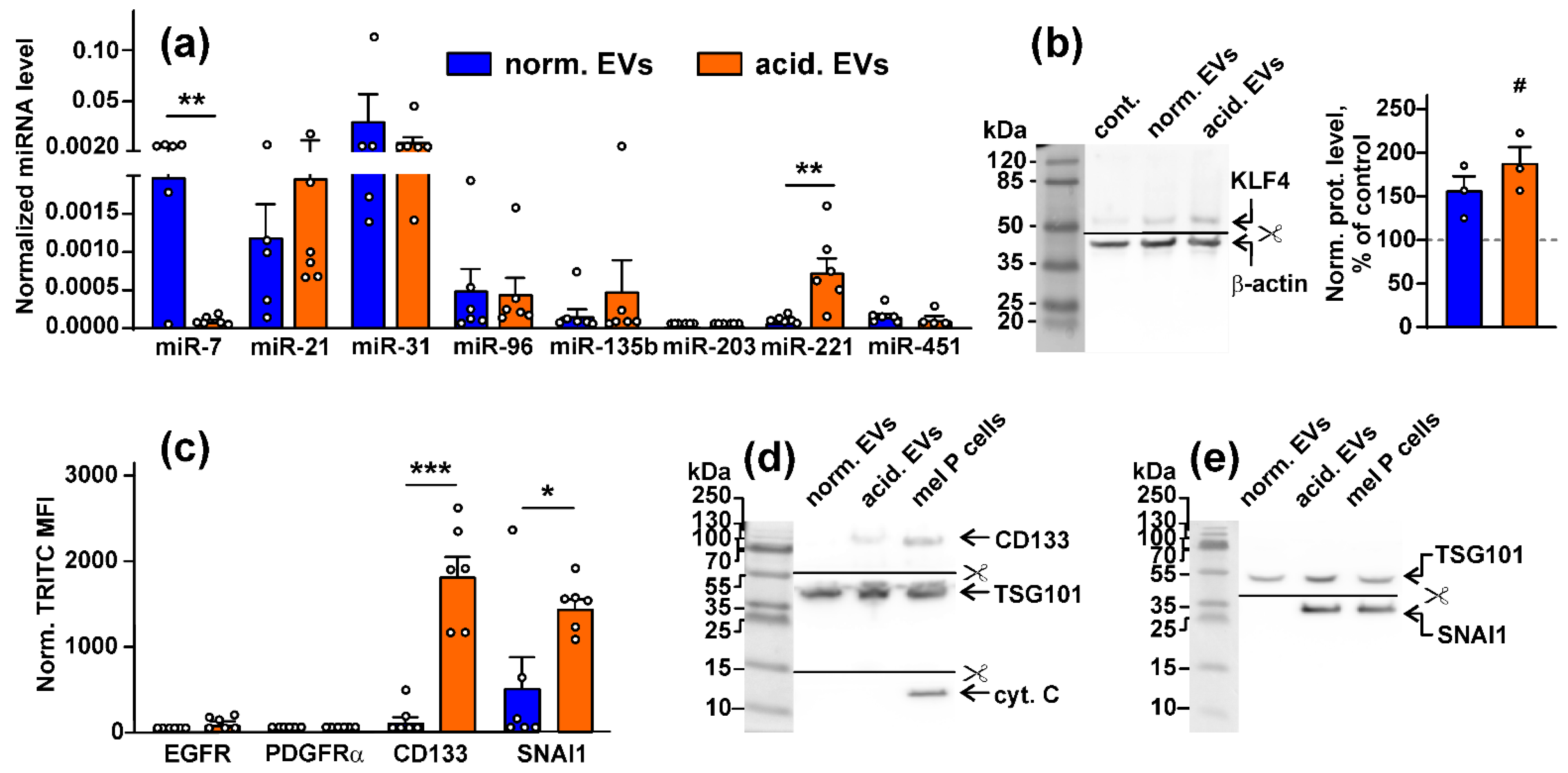 Biomedicines 10 00660 g001