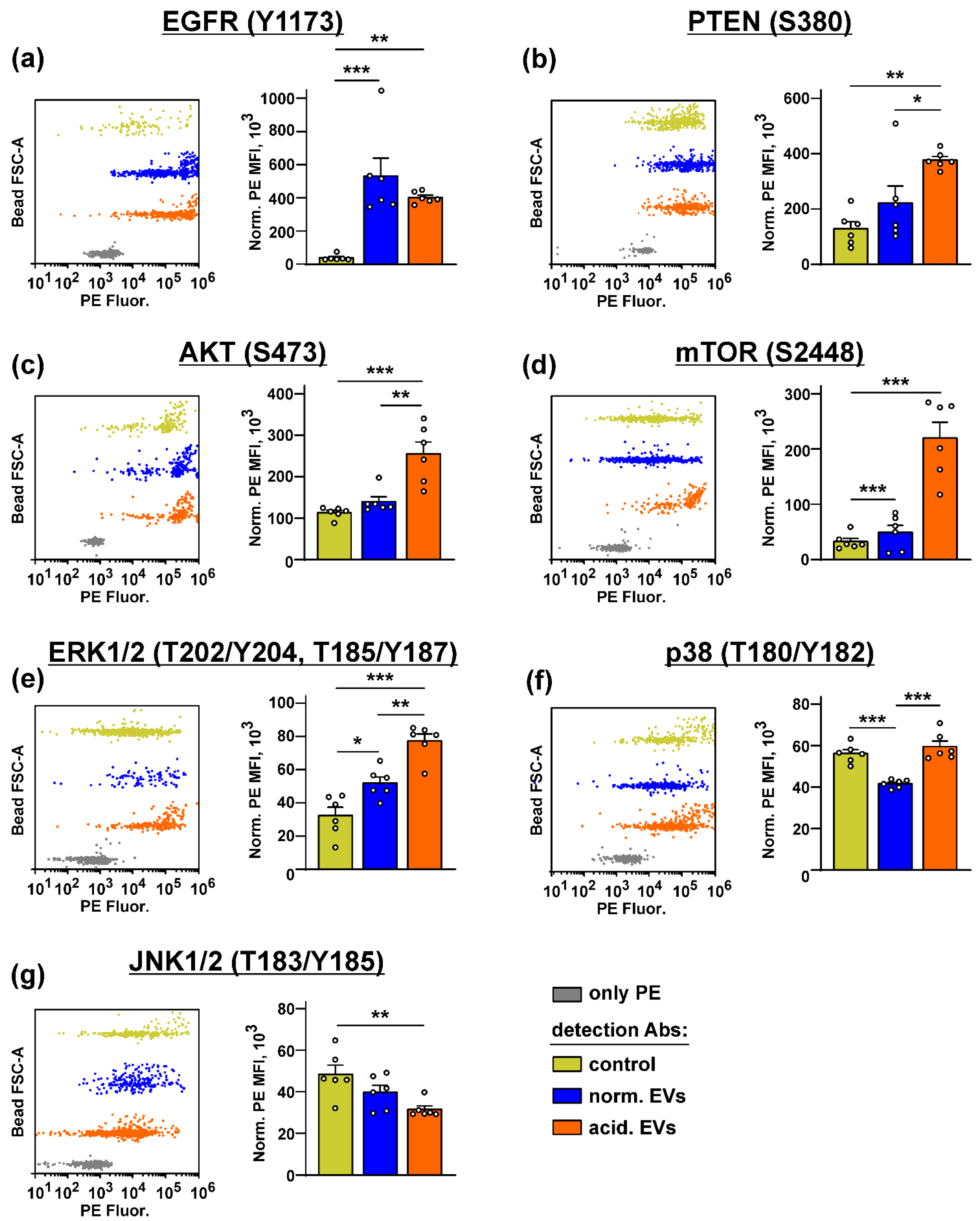 Biomedicines 10 00660 g005