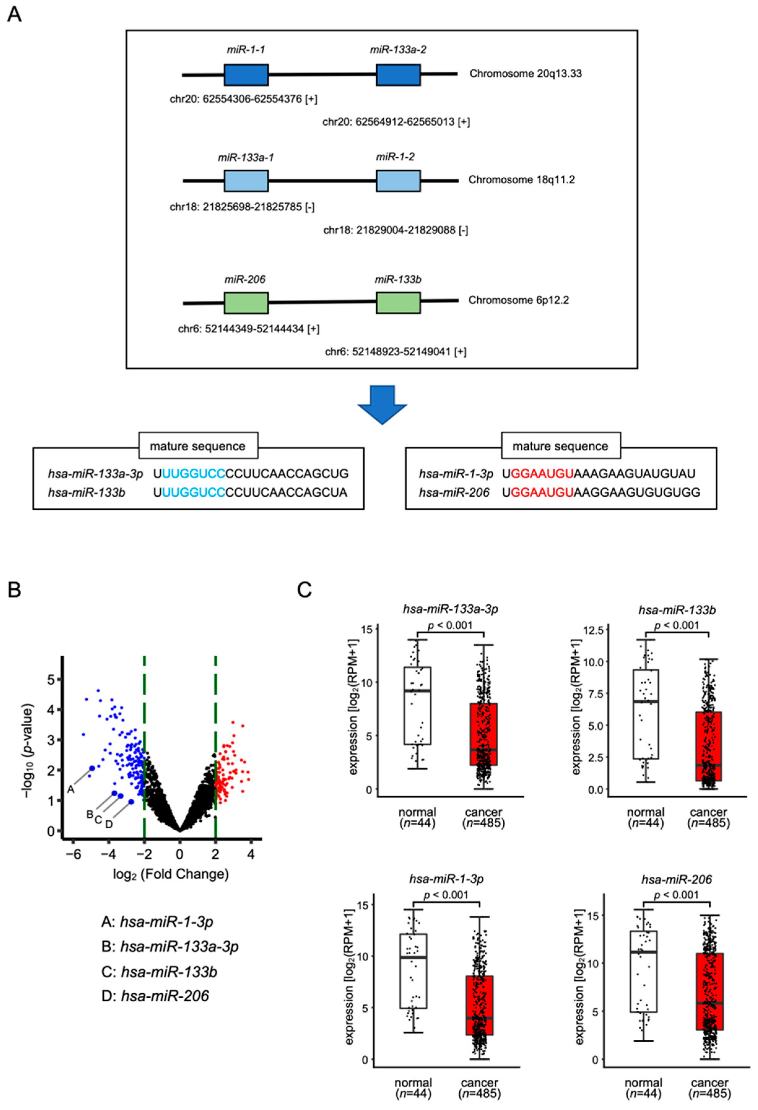 Biomedicines 10 00663 g001