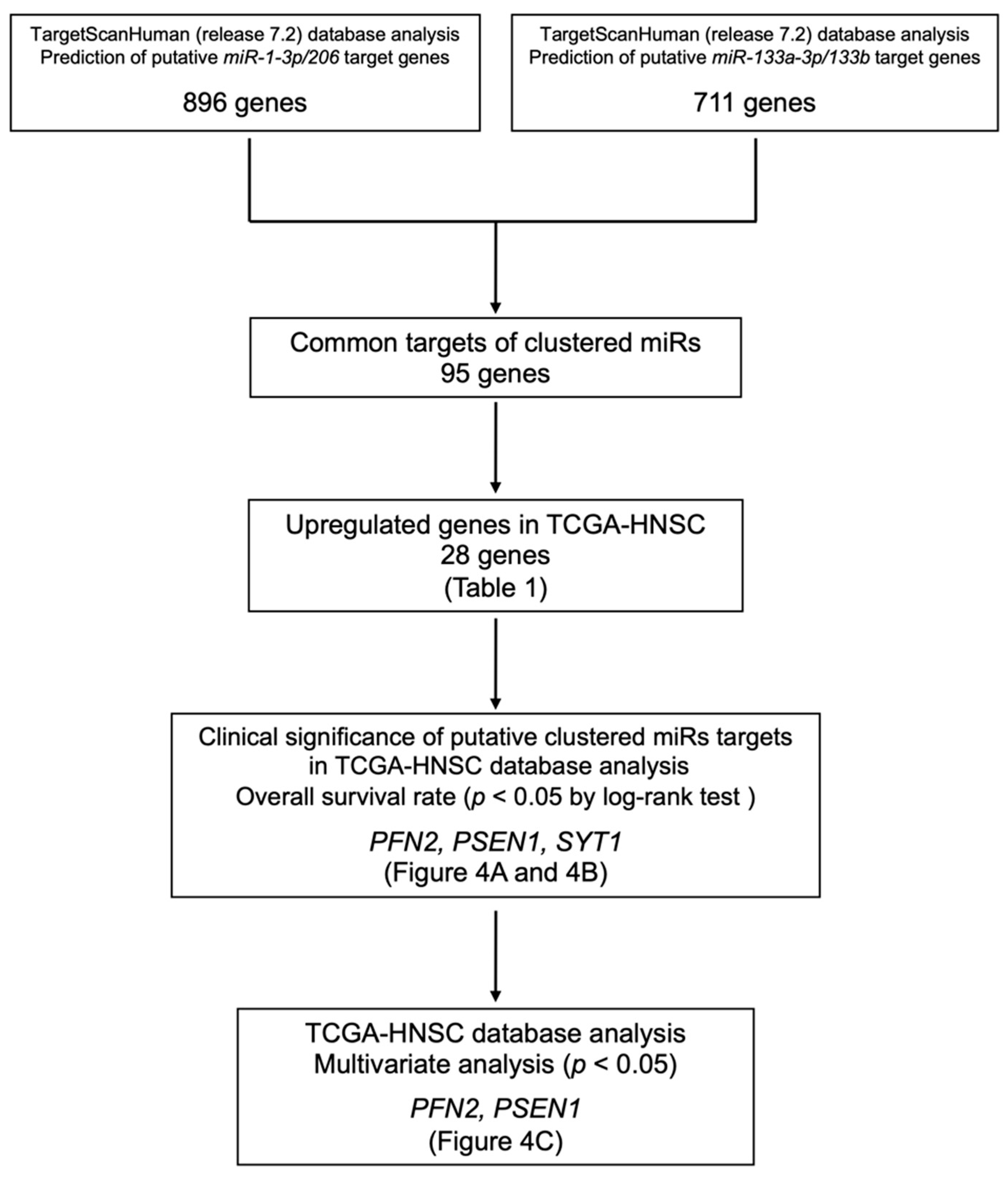 Biomedicines 10 00663 g003