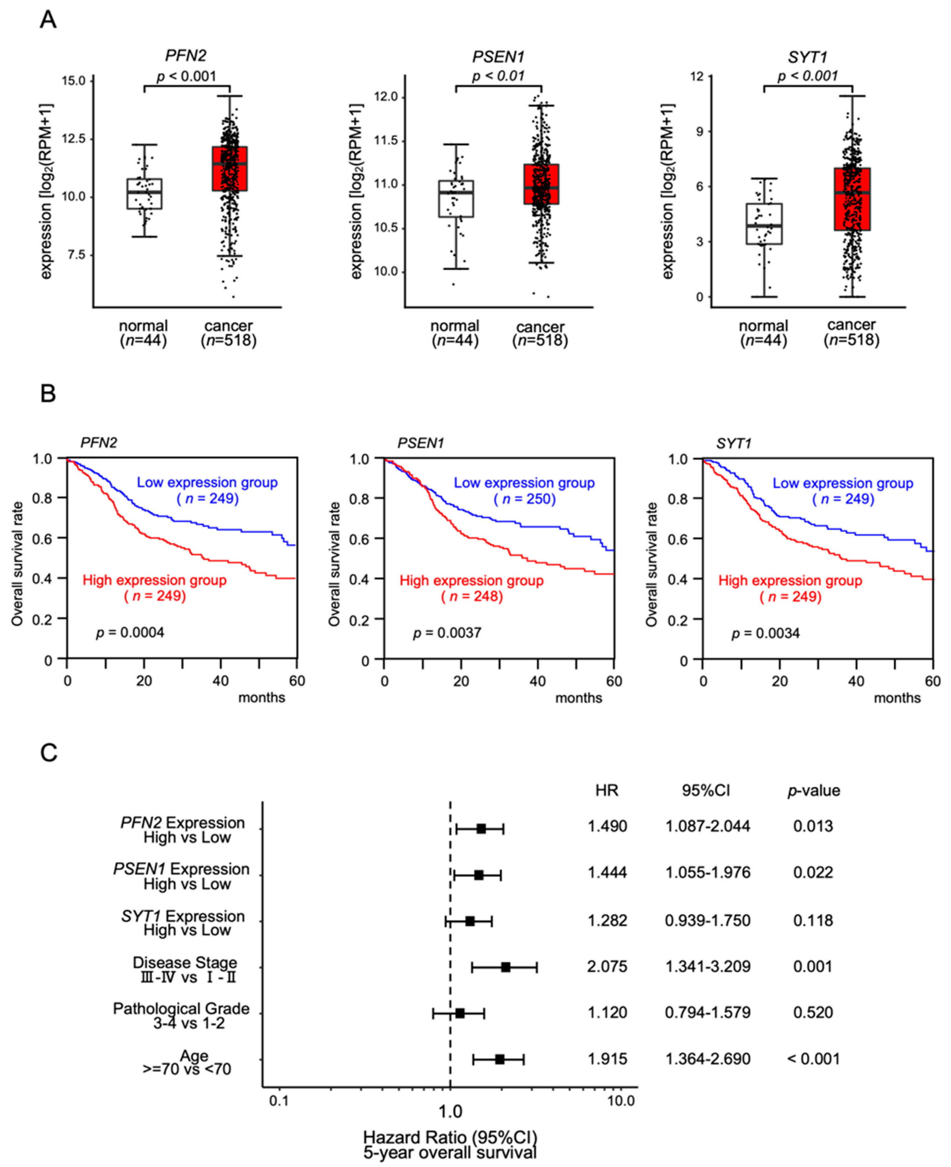 Biomedicines 10 00663 g004