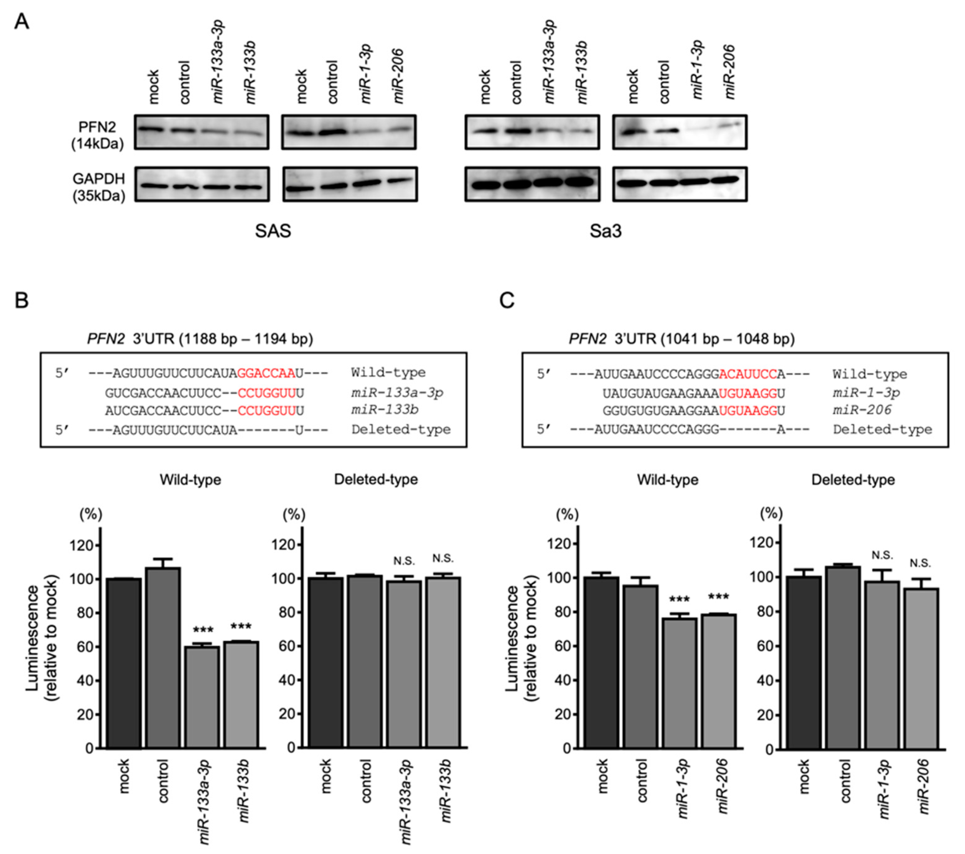 Biomedicines 10 00663 g006