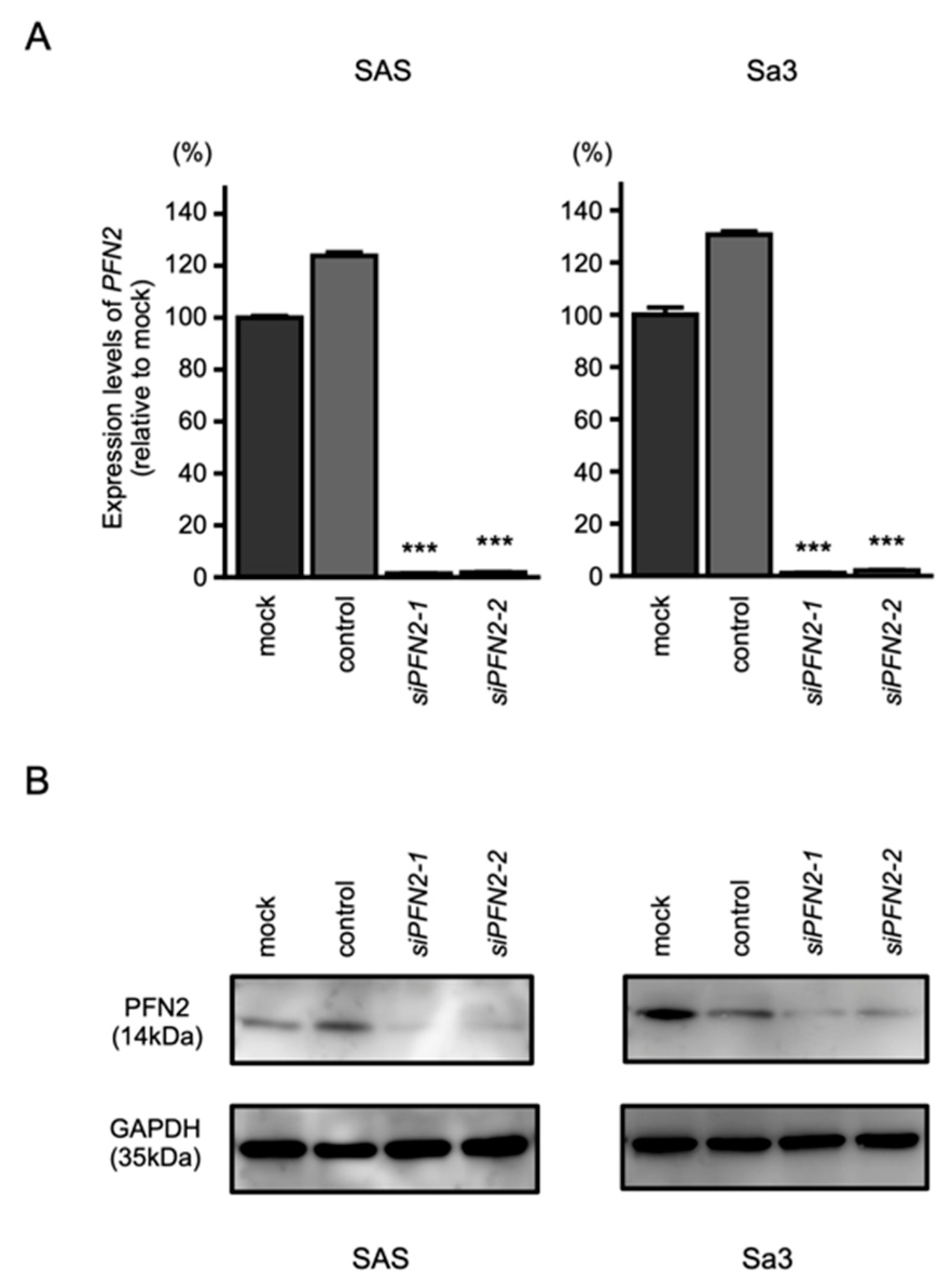Biomedicines 10 00663 g008