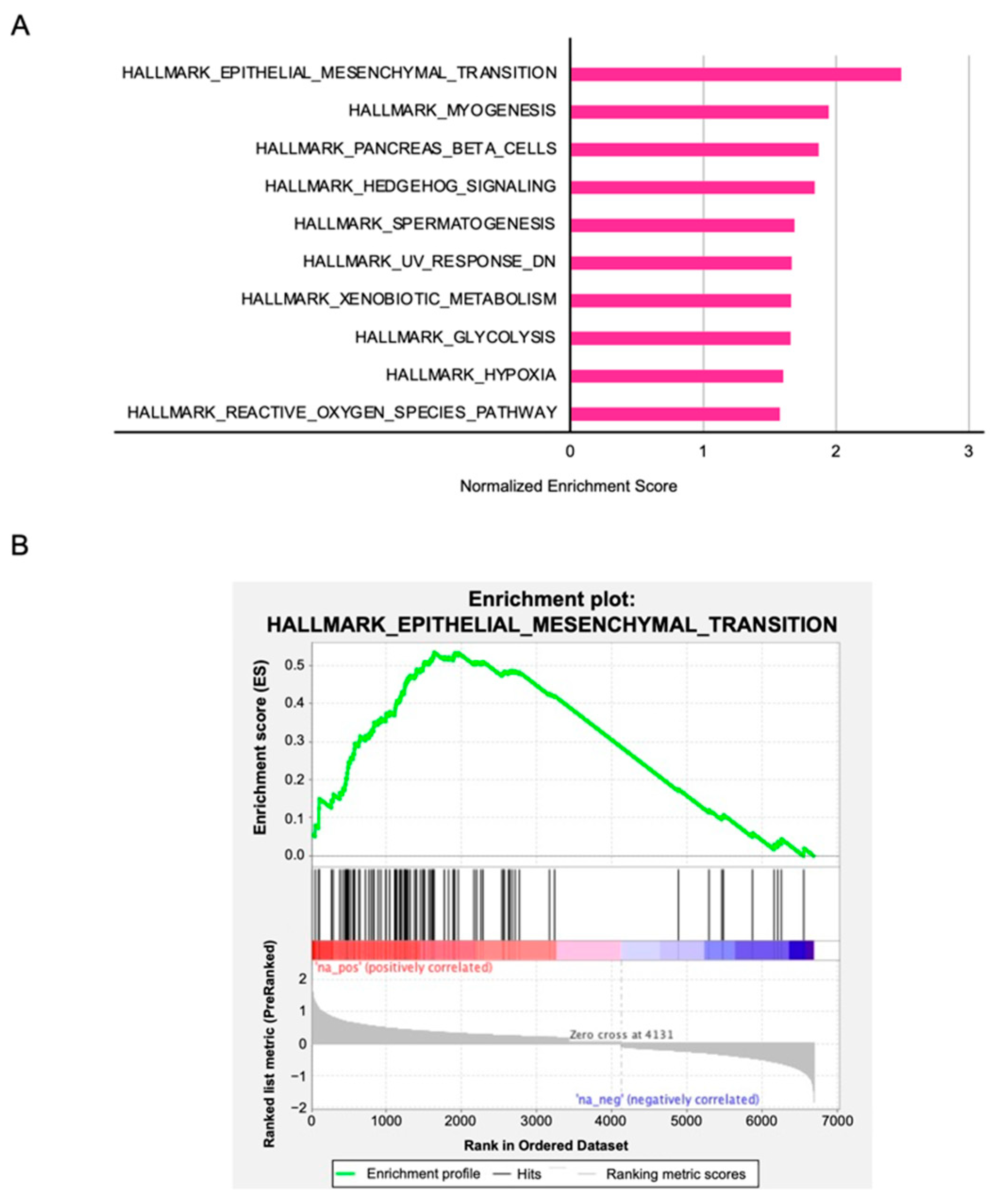 Biomedicines 10 00663 g010