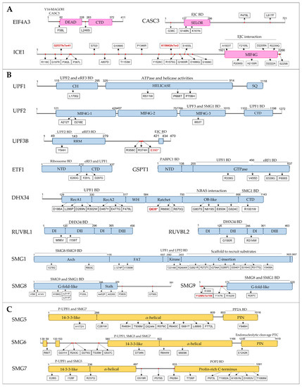 Biomedicines 10 00665 g004a 550