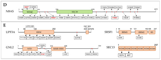 Biomedicines 10 00665 g004b 550
