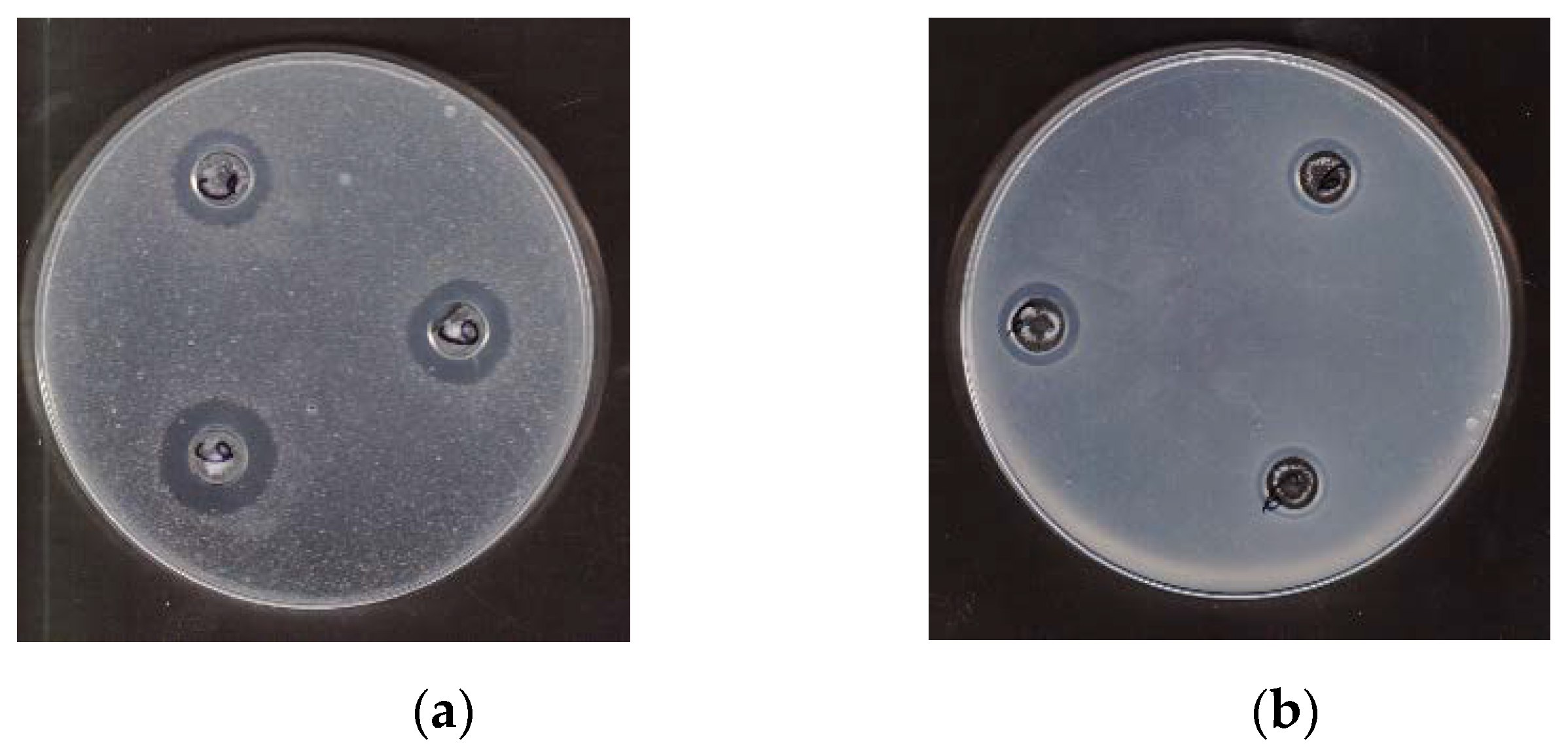 Biomedicines 10 00672 g001