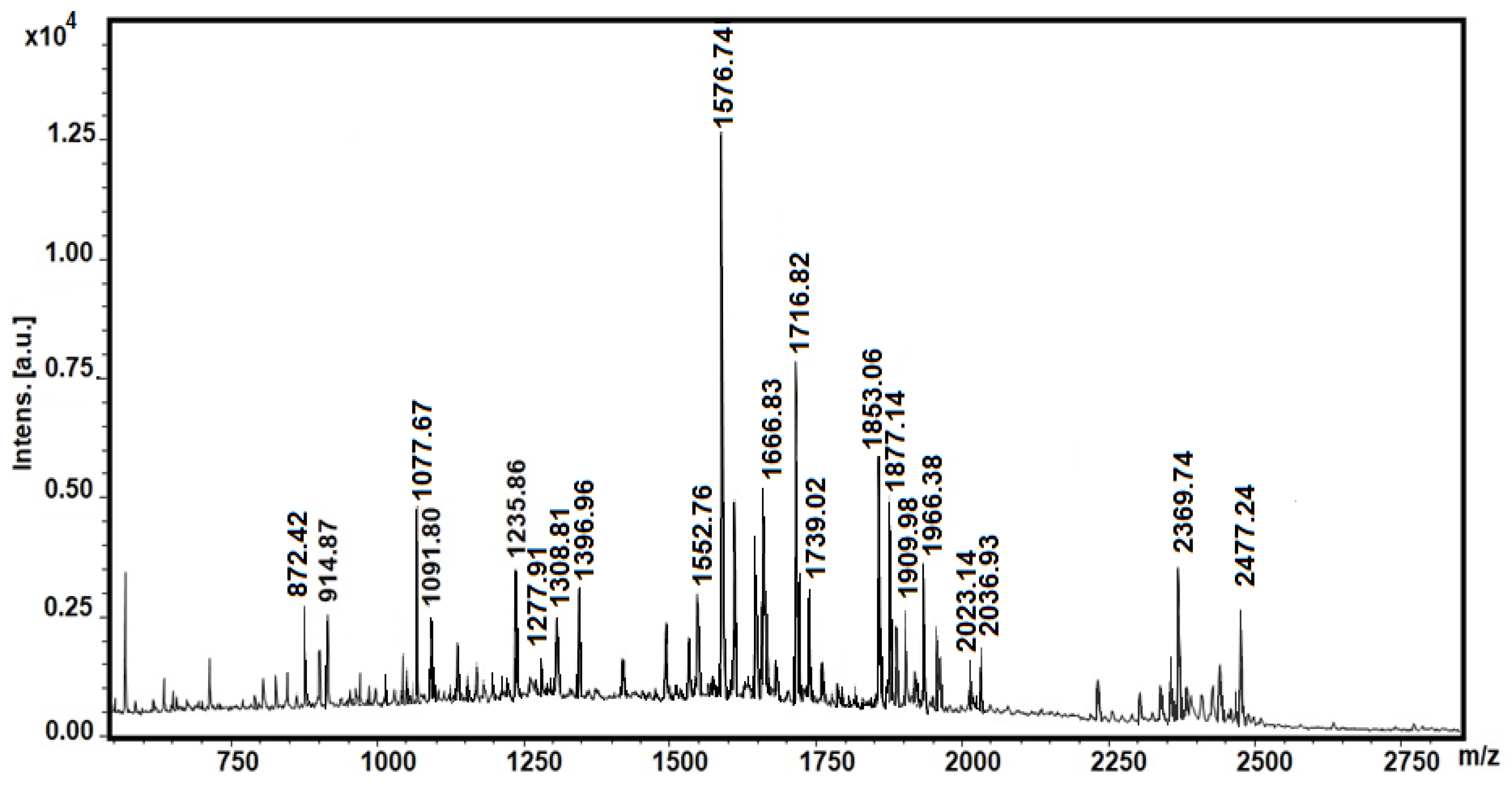 Biomedicines 10 00672 g002