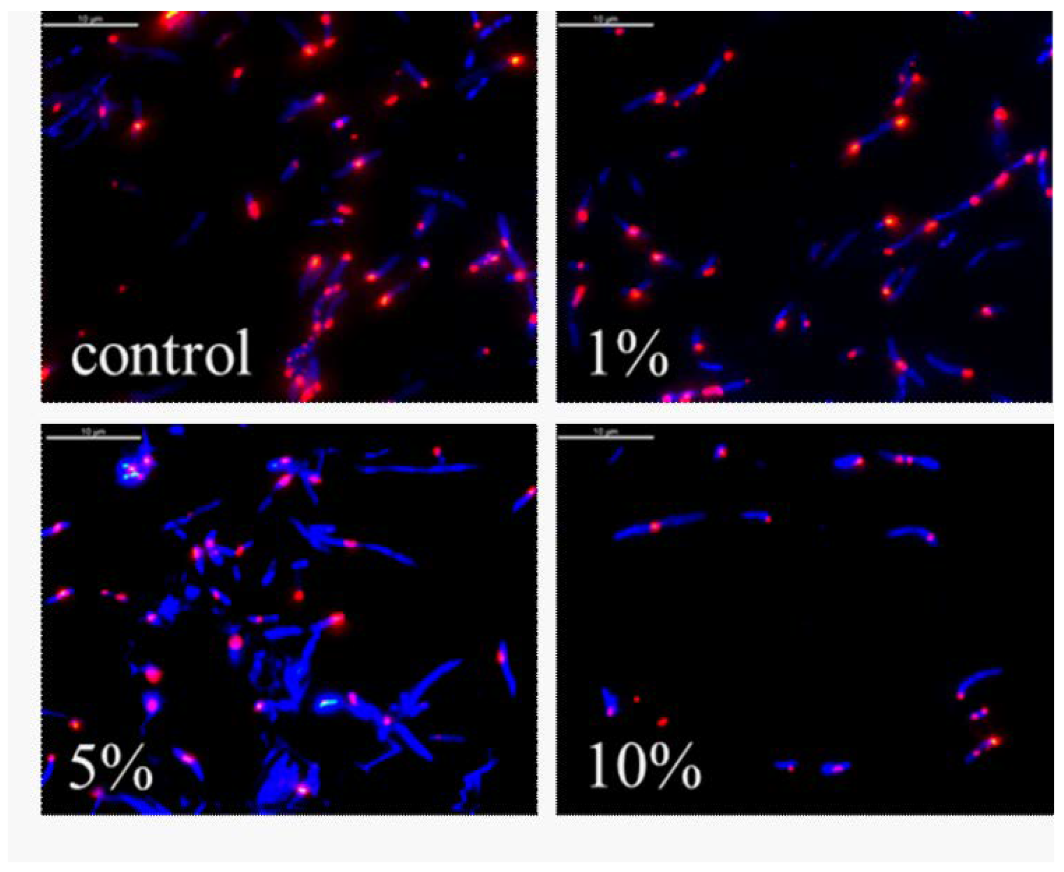Biomedicines 10 00672 g009