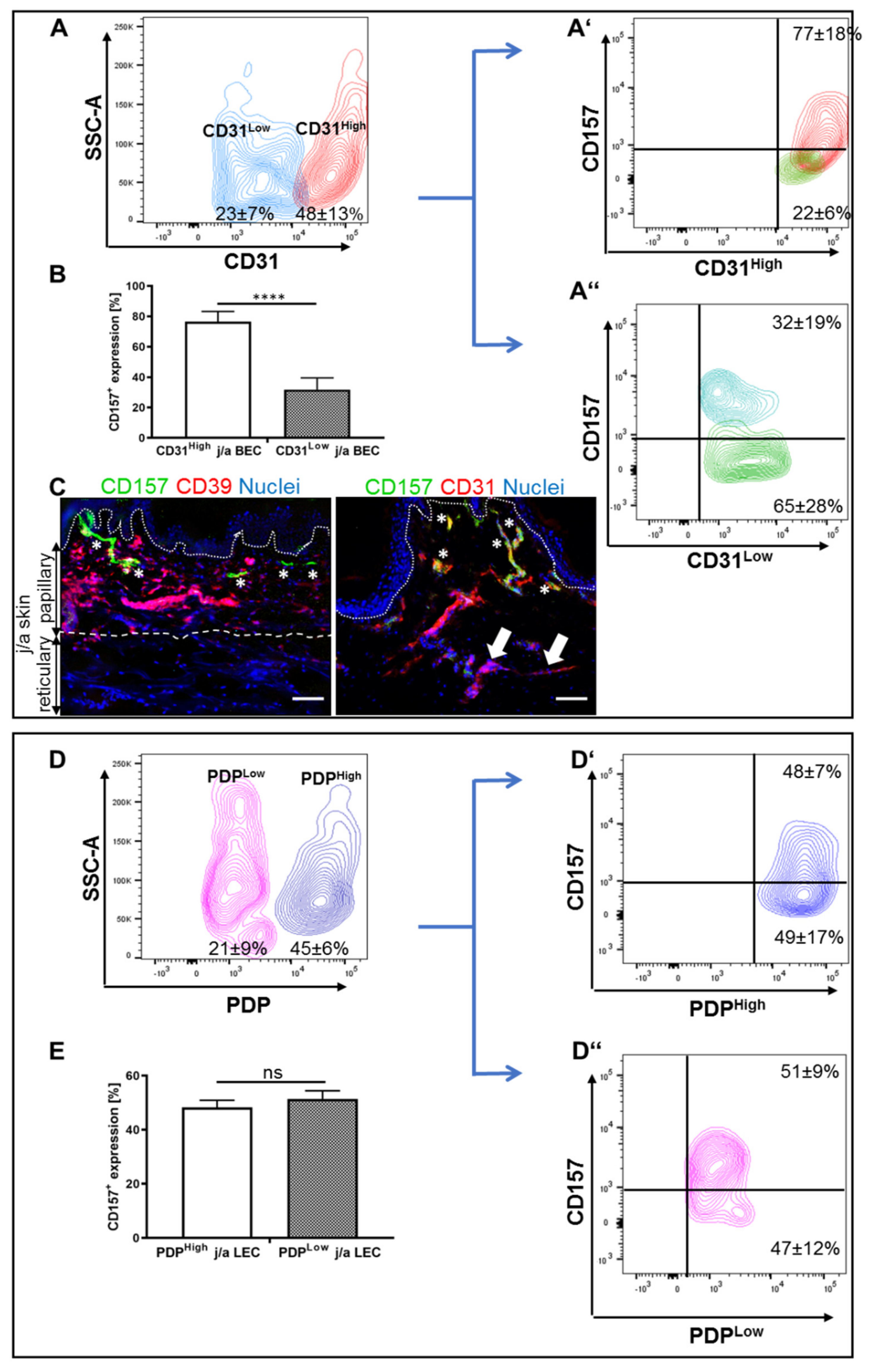 Biomedicines 10 00676 g002