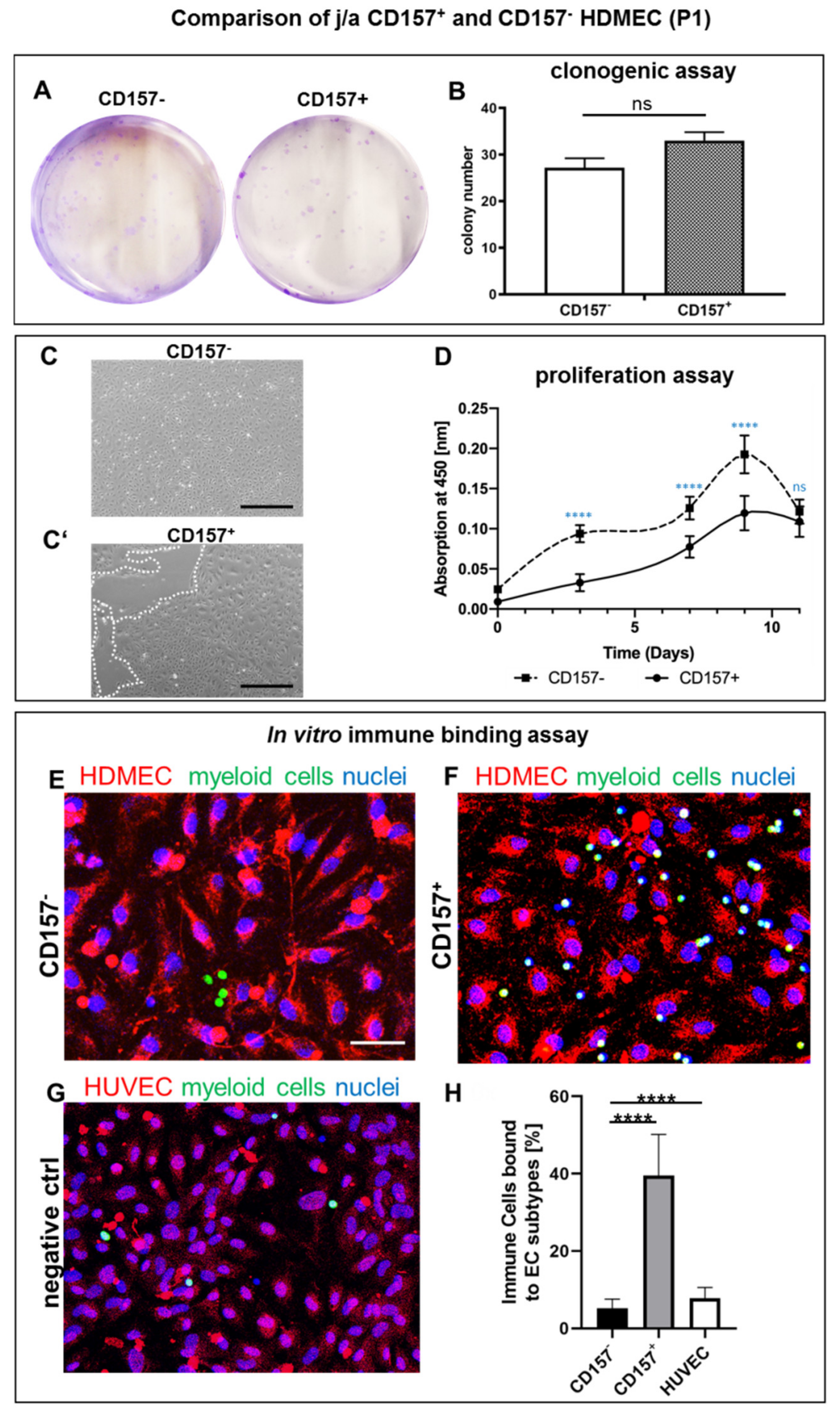Biomedicines 10 00676 g004