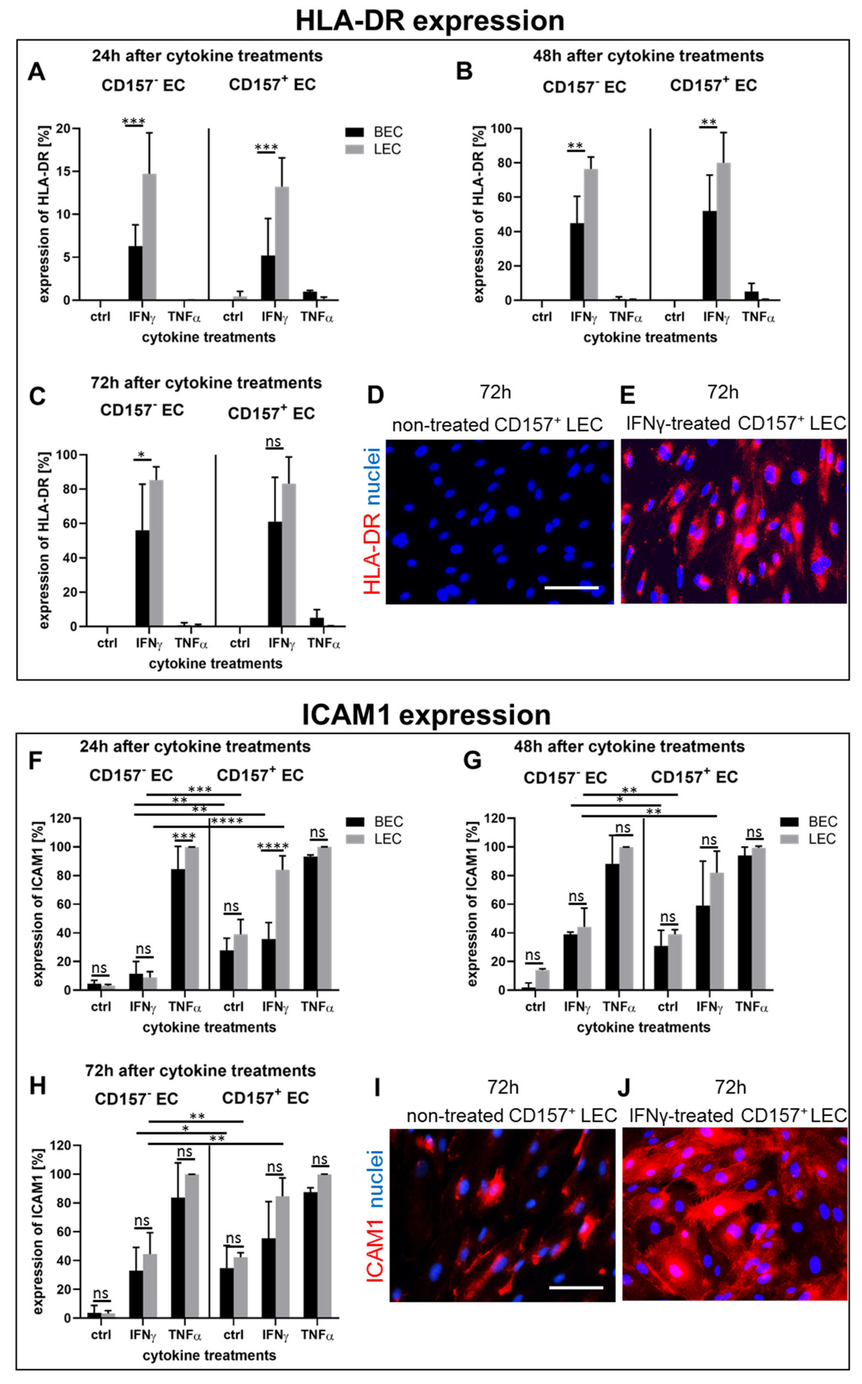 Biomedicines 10 00676 g005