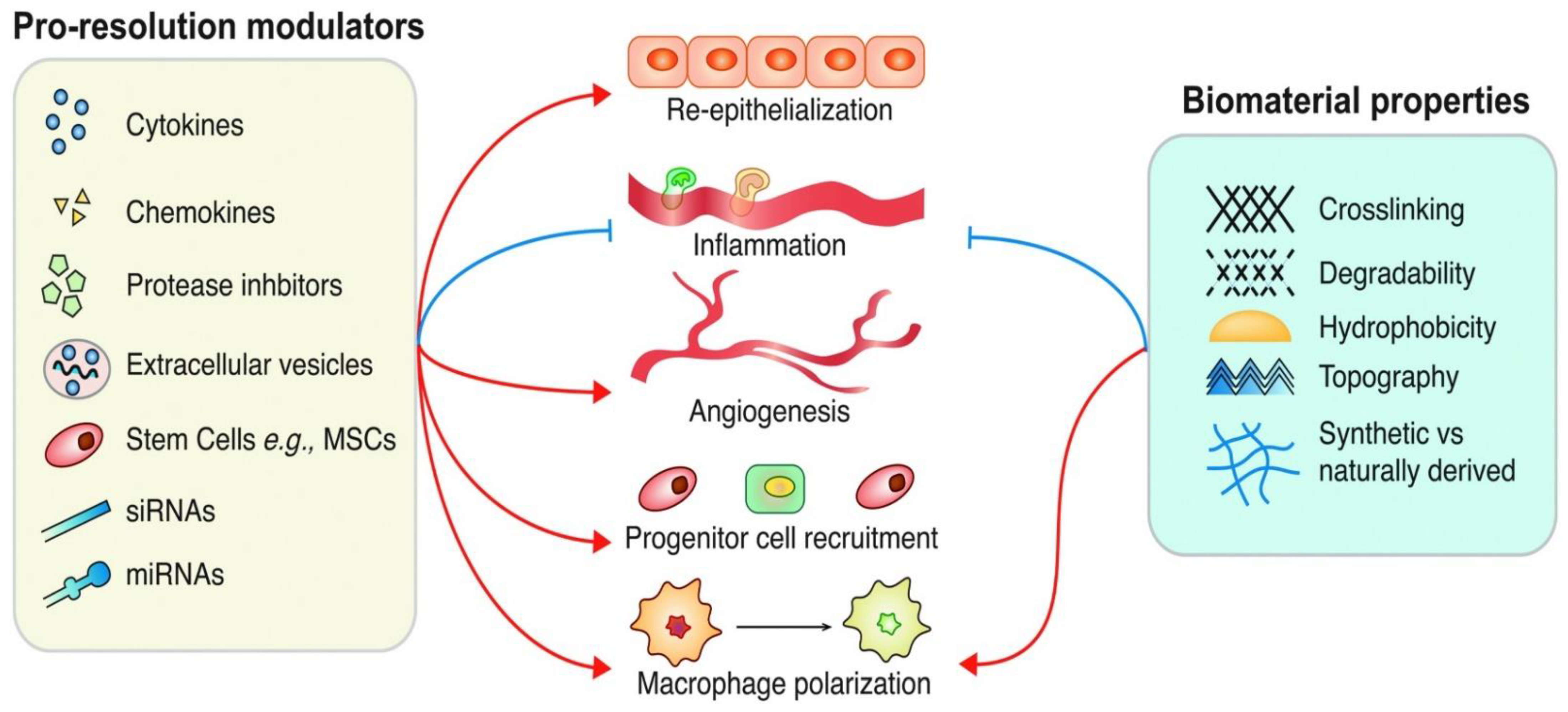 Biomedicines 10 00679 g001 Biomedicines 10 00679 g001