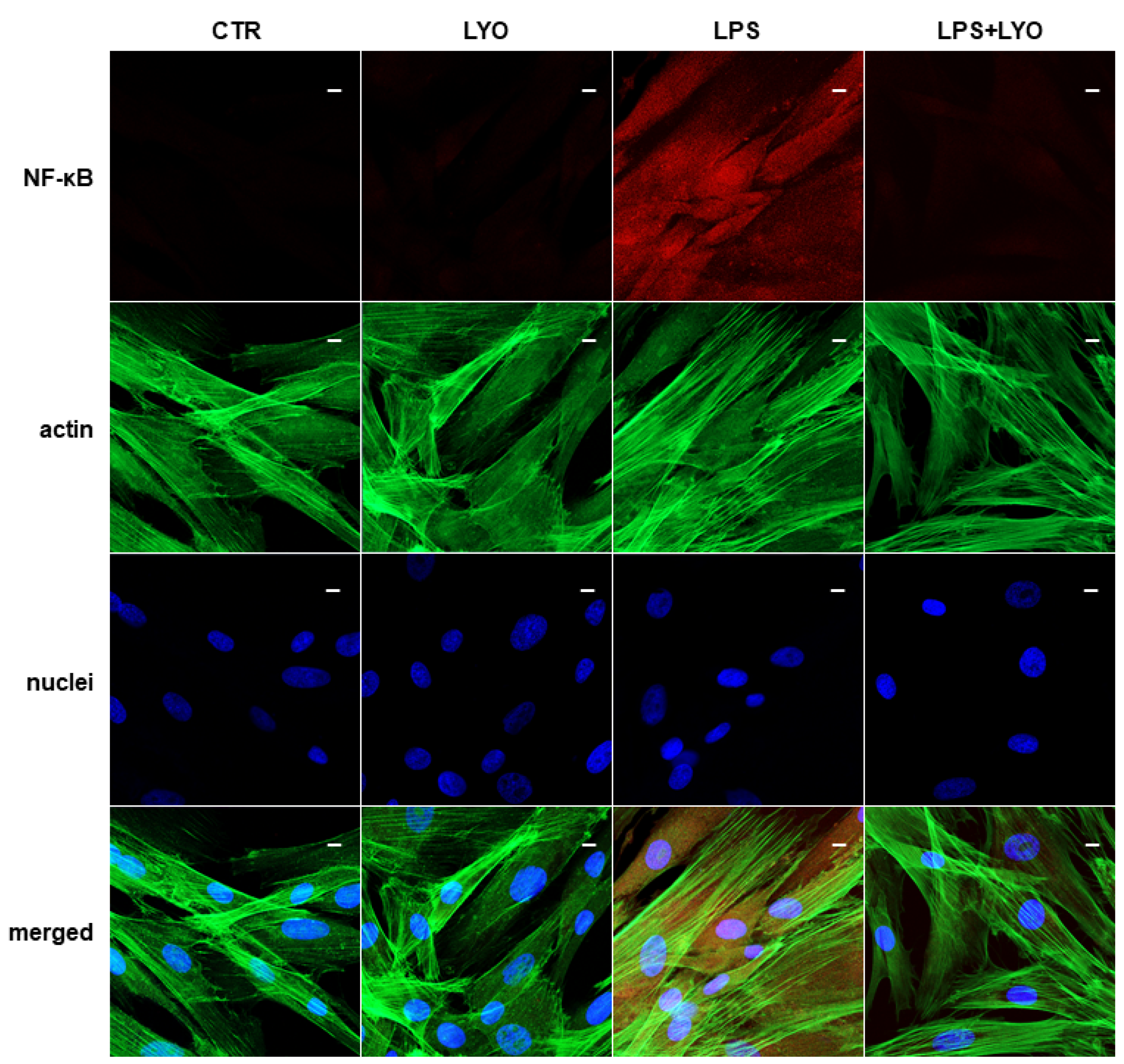 Biomedicines 10 00683 g004