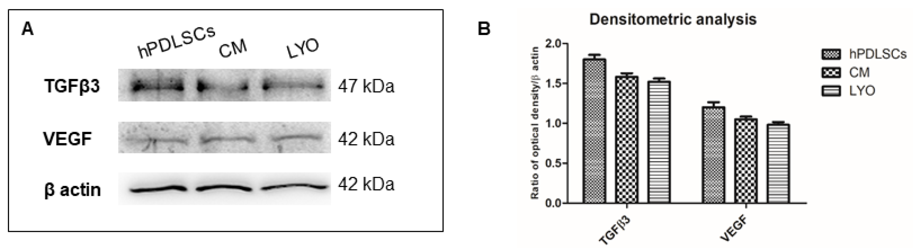Biomedicines 10 00683 g005
