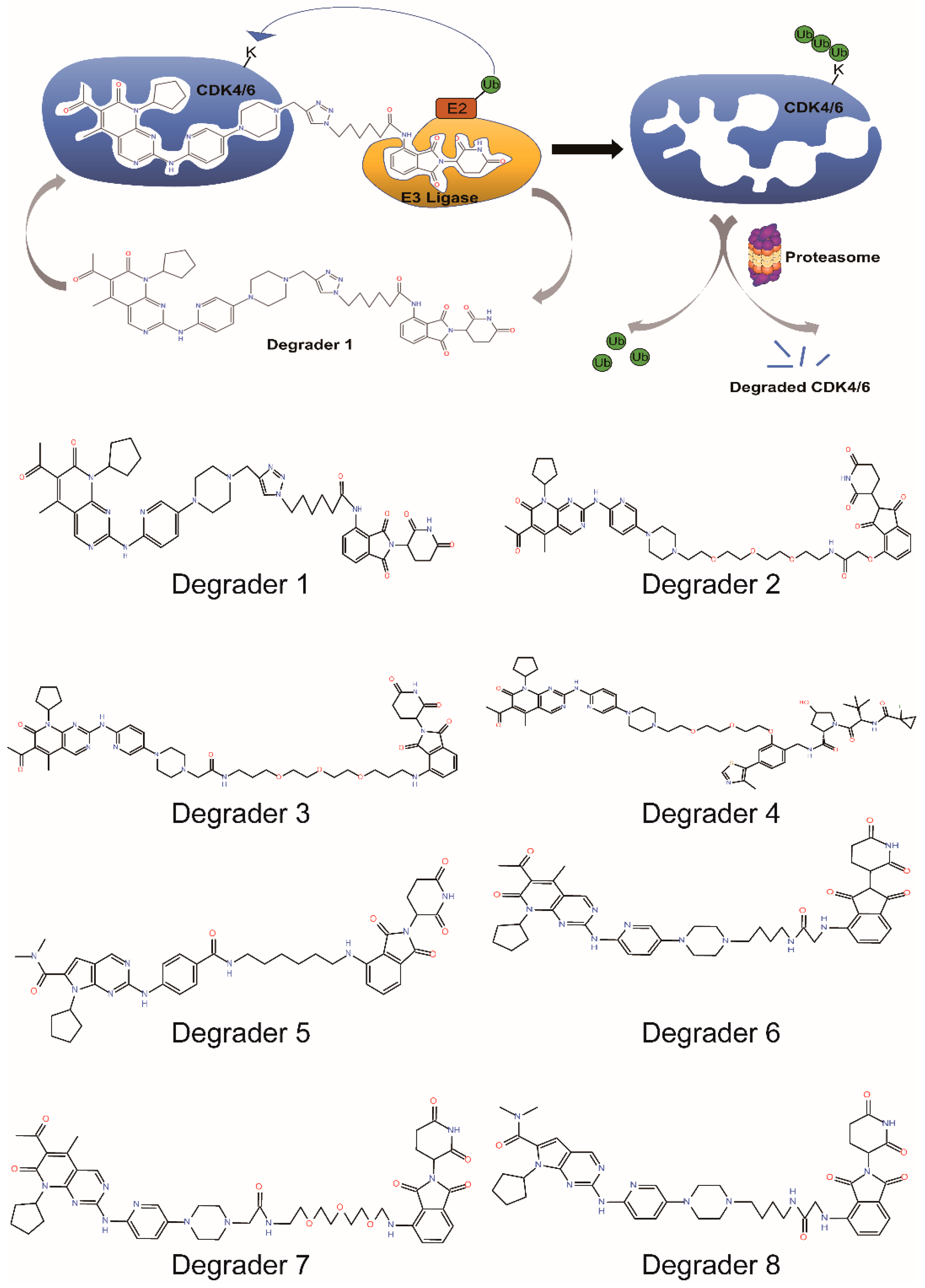 Biomedicines 10 00685 g006 Biomedicines 10 00685 g006
