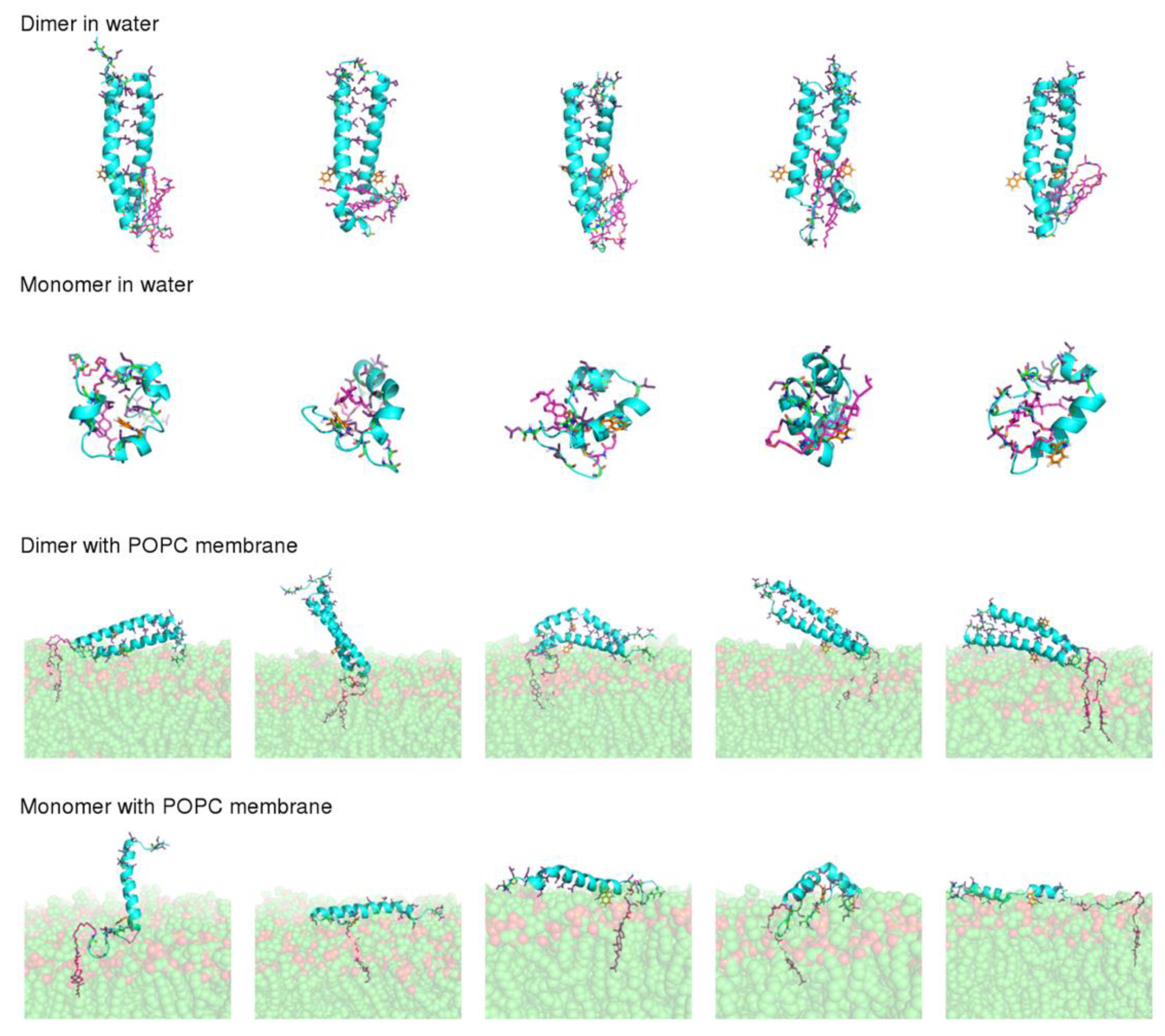 Biomedicines 10 00703 g005