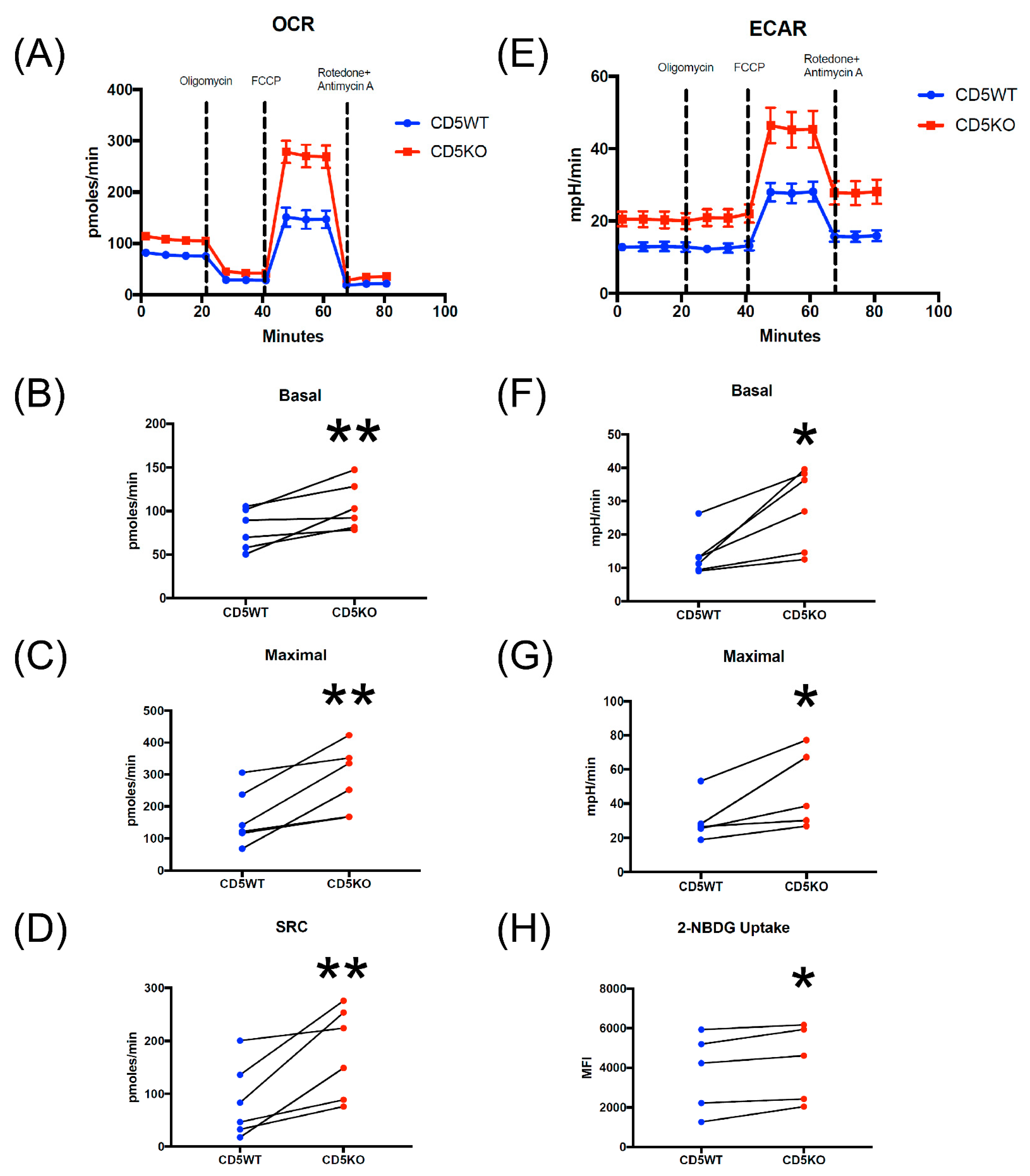 Biomedicines 10 00704 g006