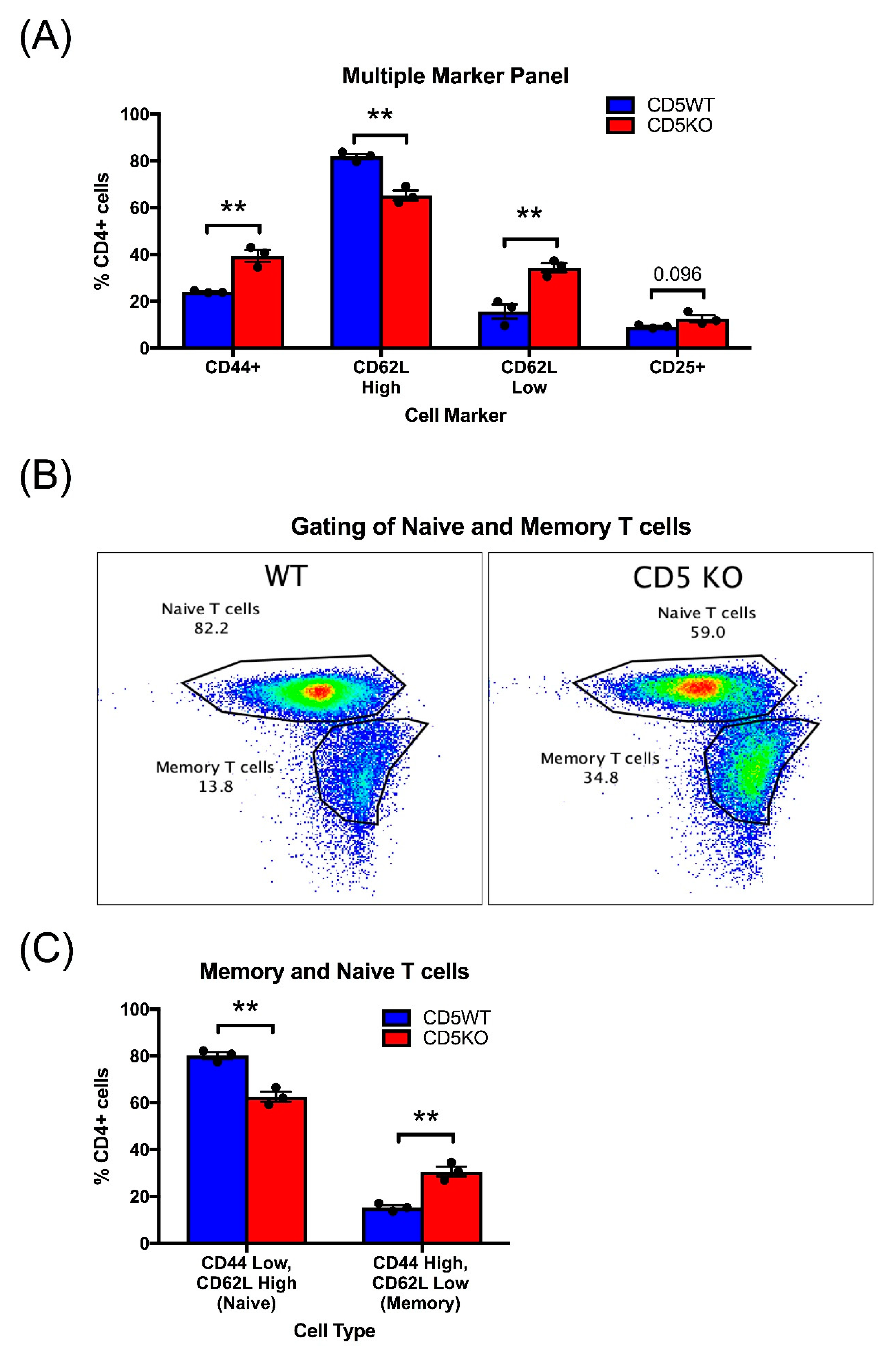 Biomedicines 10 00704 g007