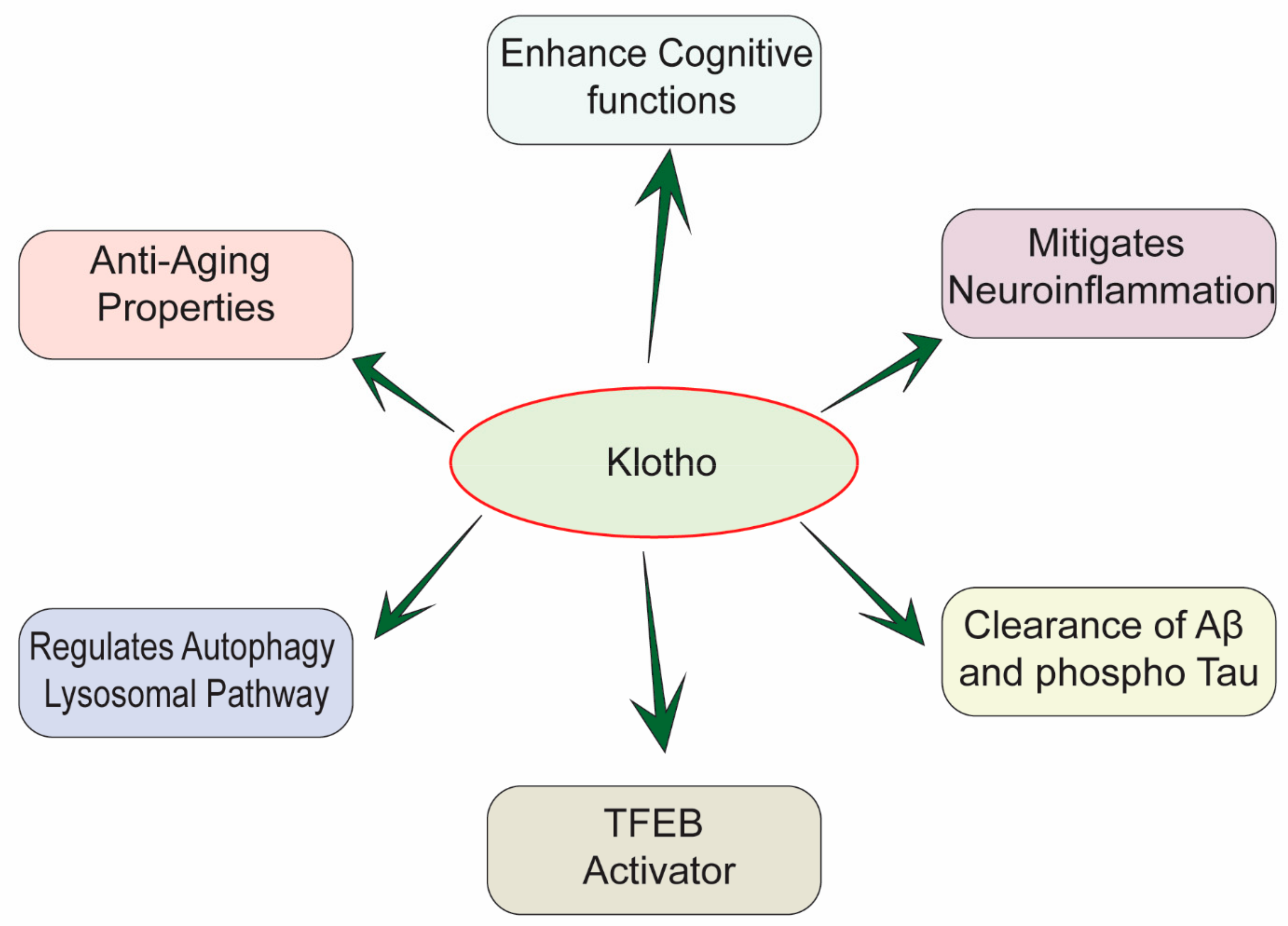 Biomedicines 10 00705 g001