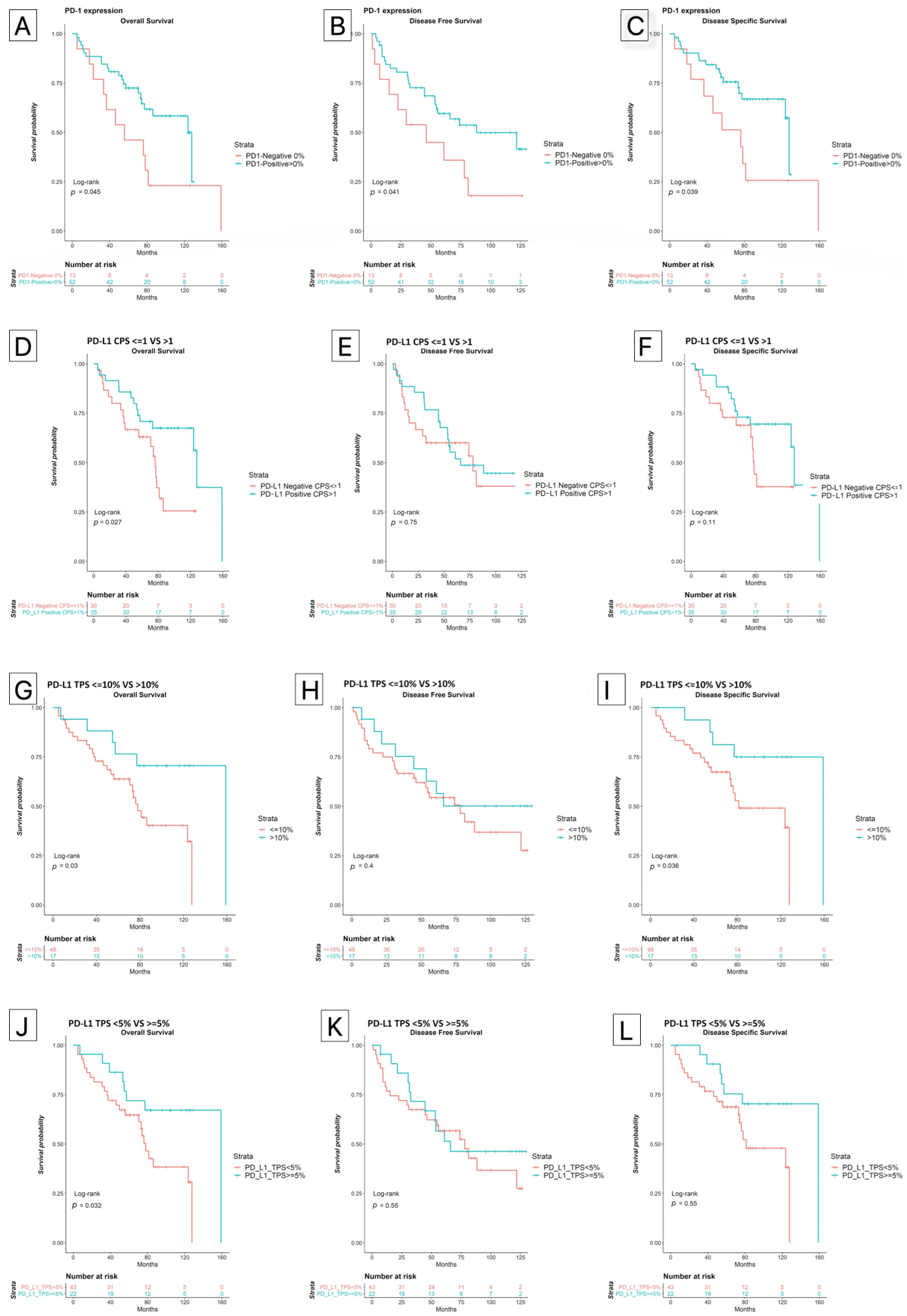 Biomedicines 10 00710 g002