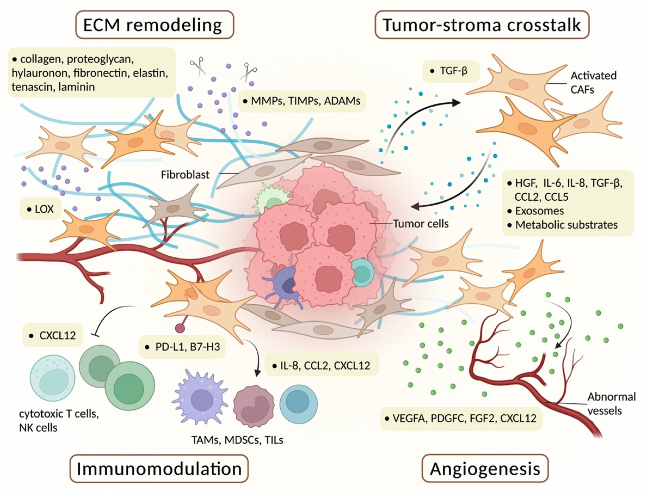Biomedicines 10 00713 g002