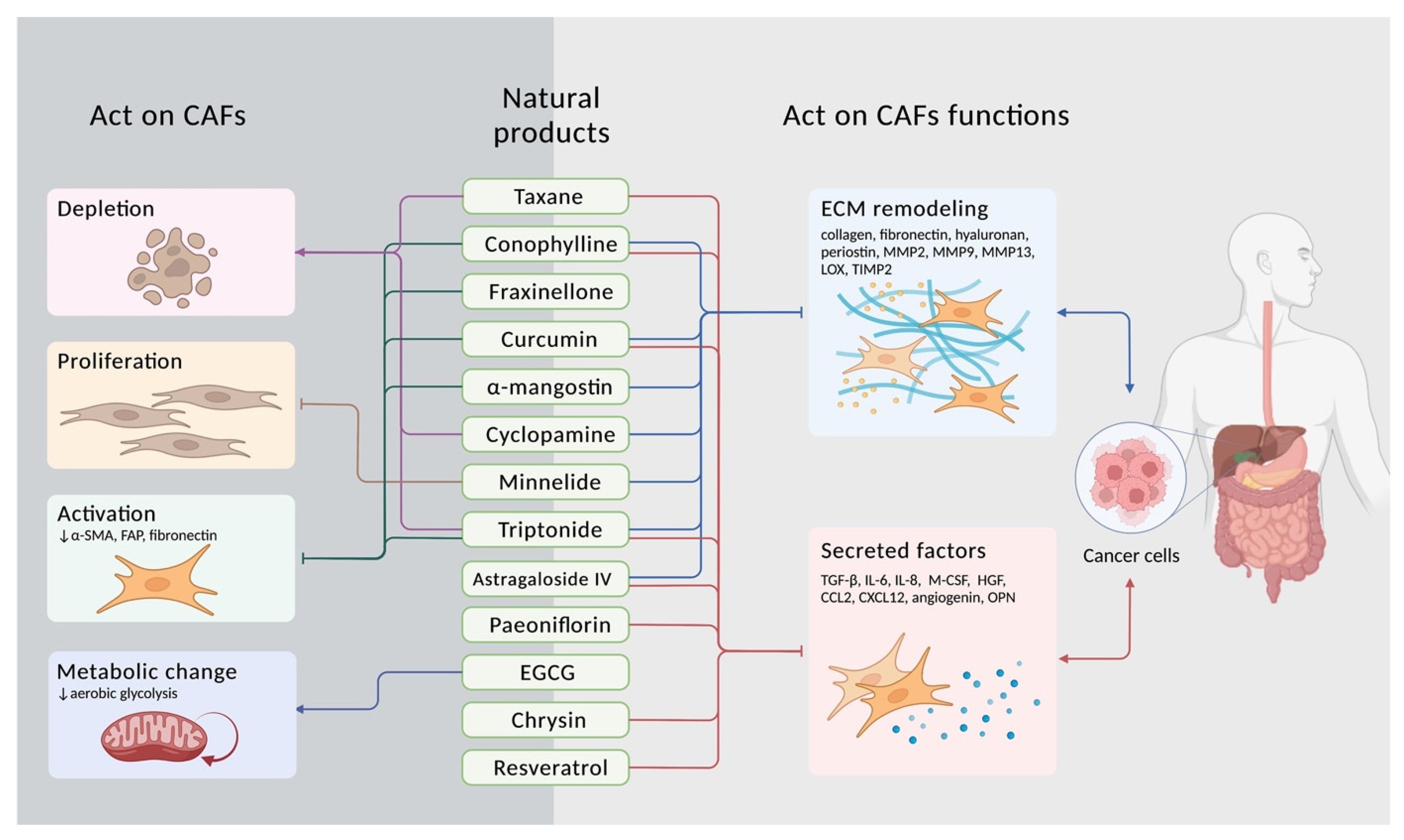 Biomedicines 10 00713 g003