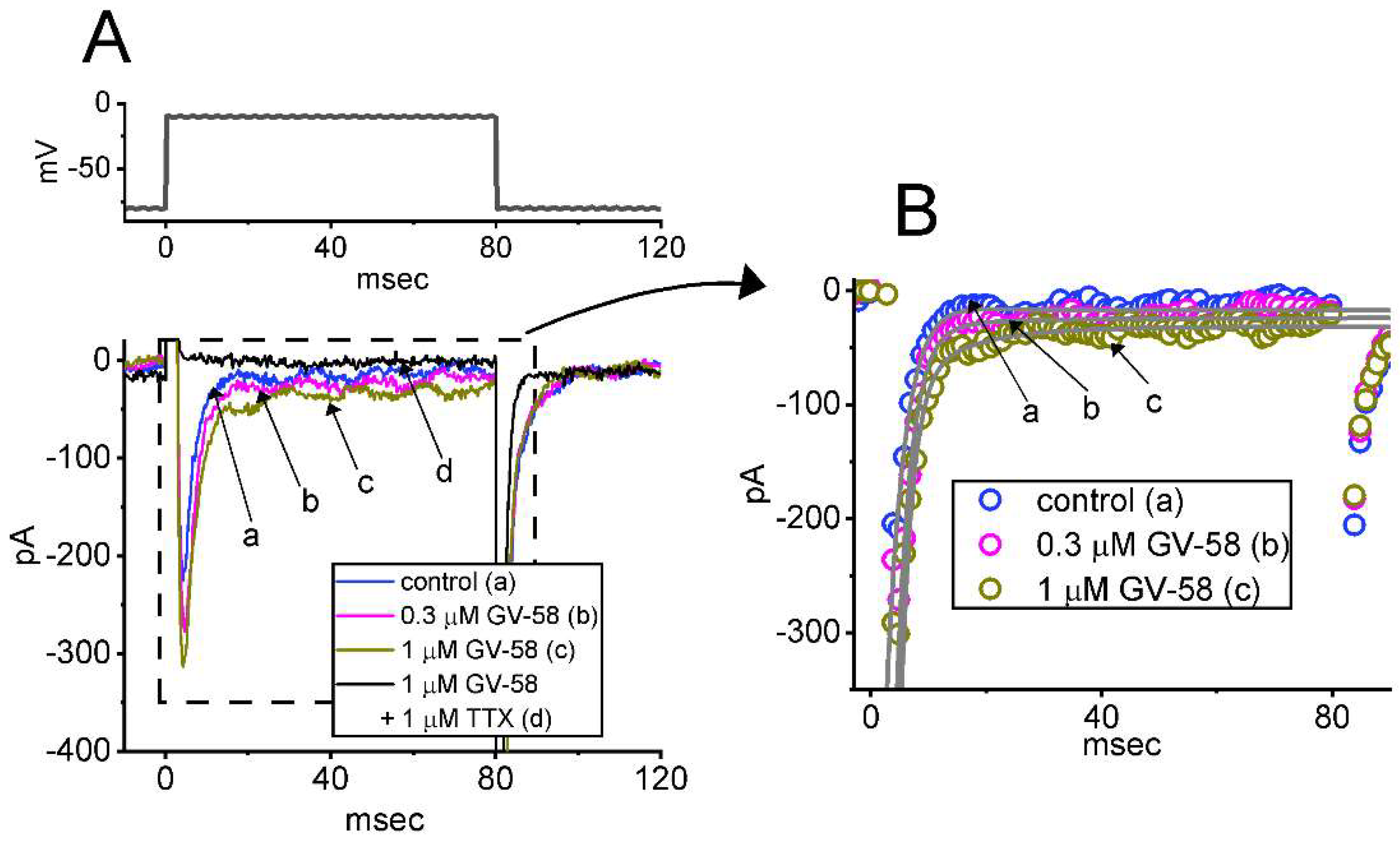 Biomedicines 10 00721 g001a