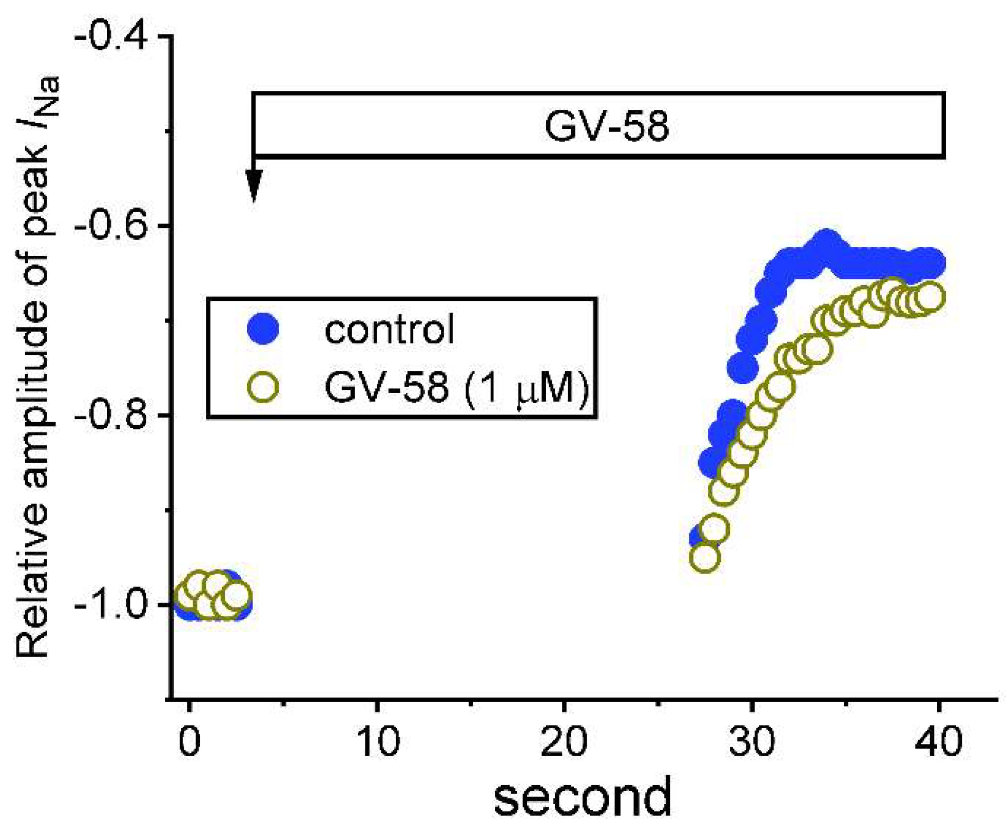Biomedicines 10 00721 g006