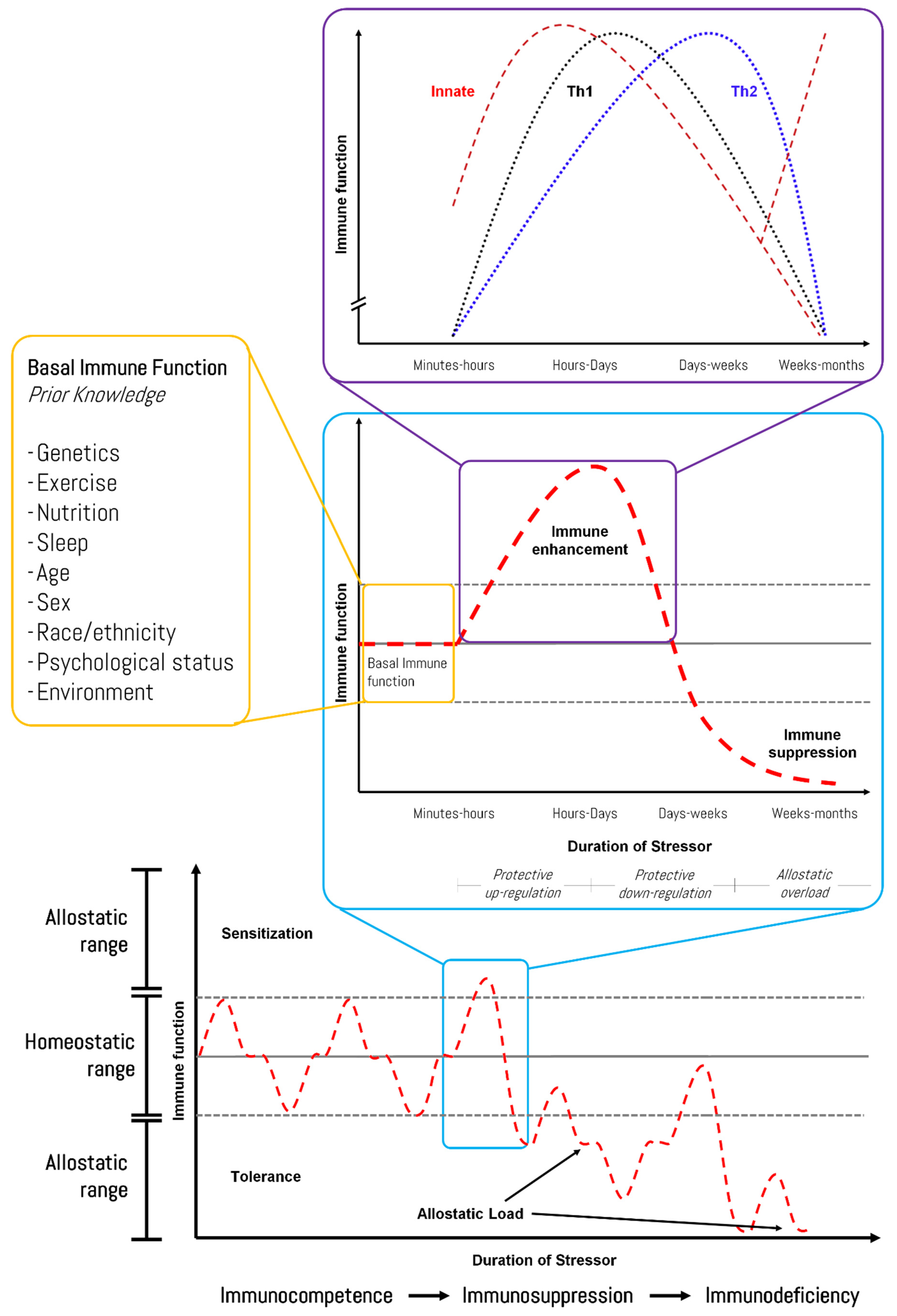 Biomedicines 10 00724 g001