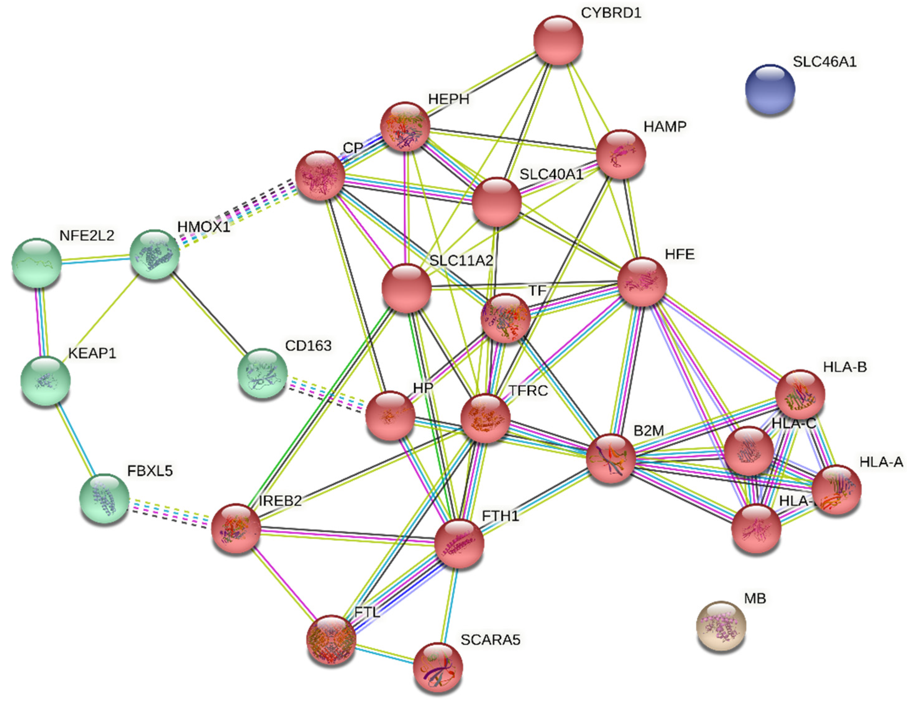 Biomedicines 10 00724 g005