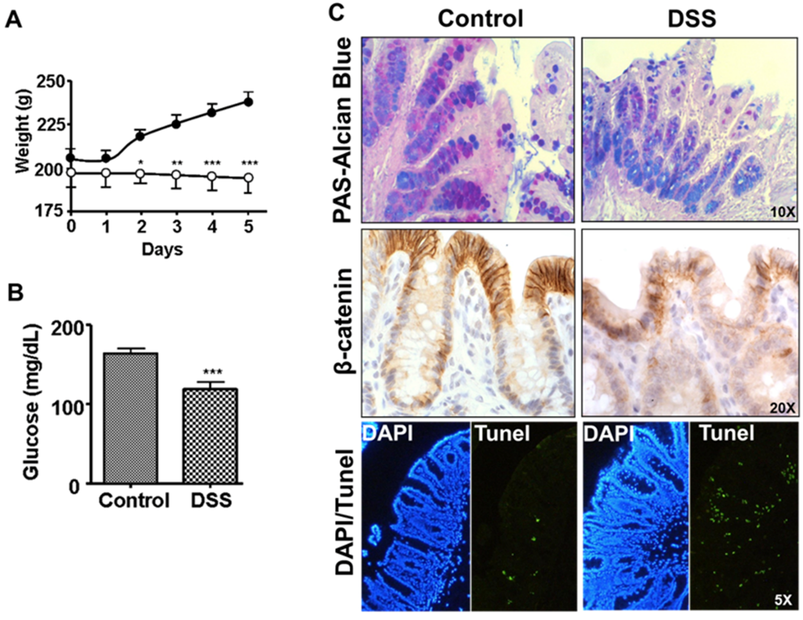 Biomedicines 10 00727 g001