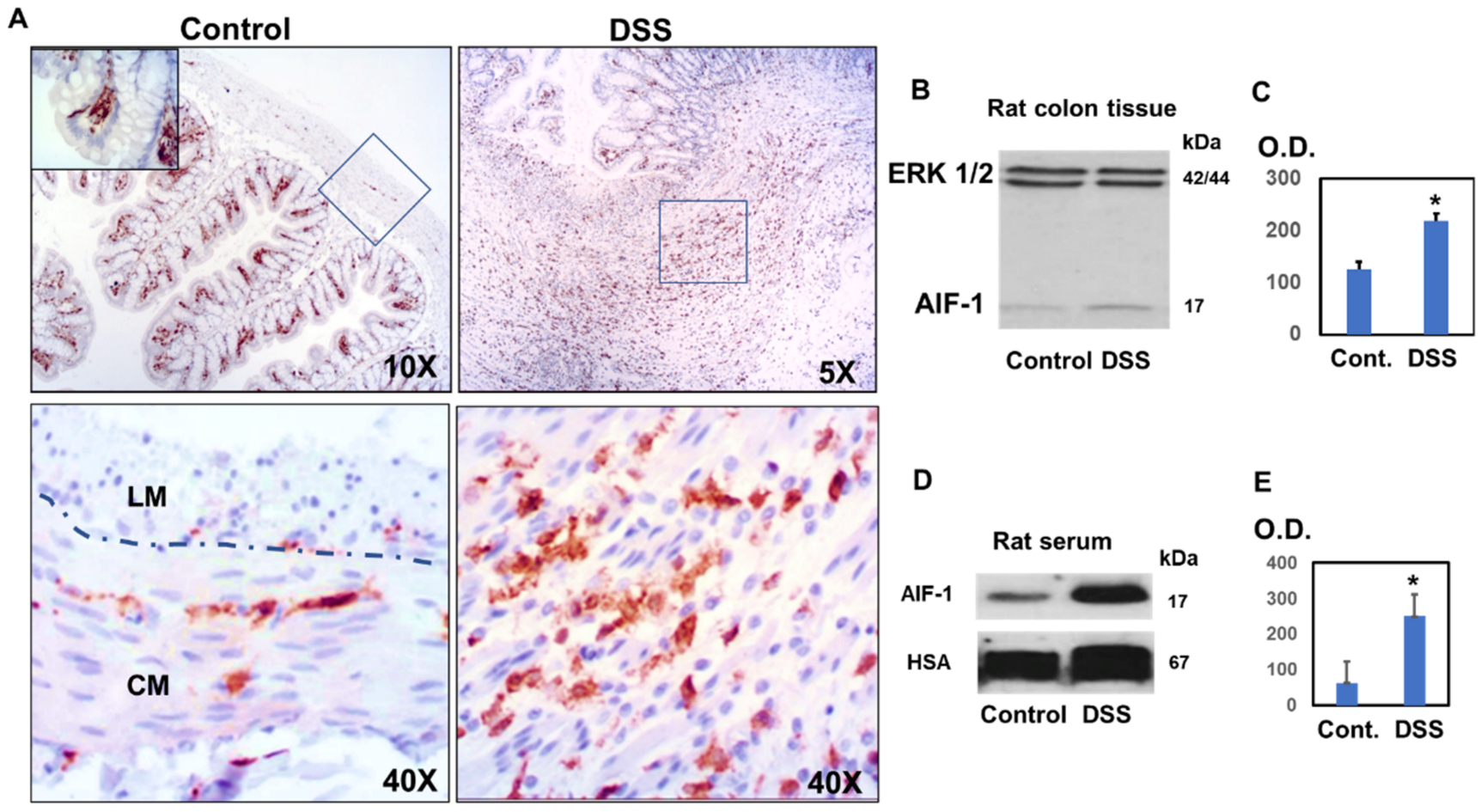Biomedicines 10 00727 g002