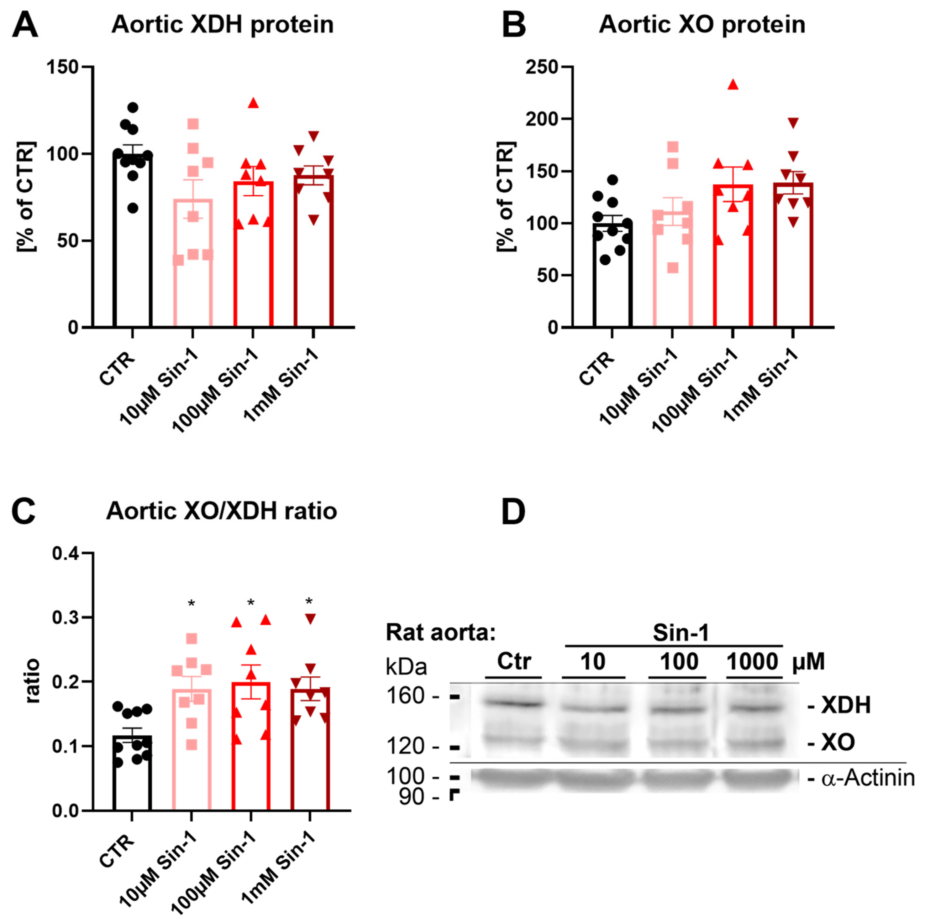 Biomedicines 10 00730 g003
