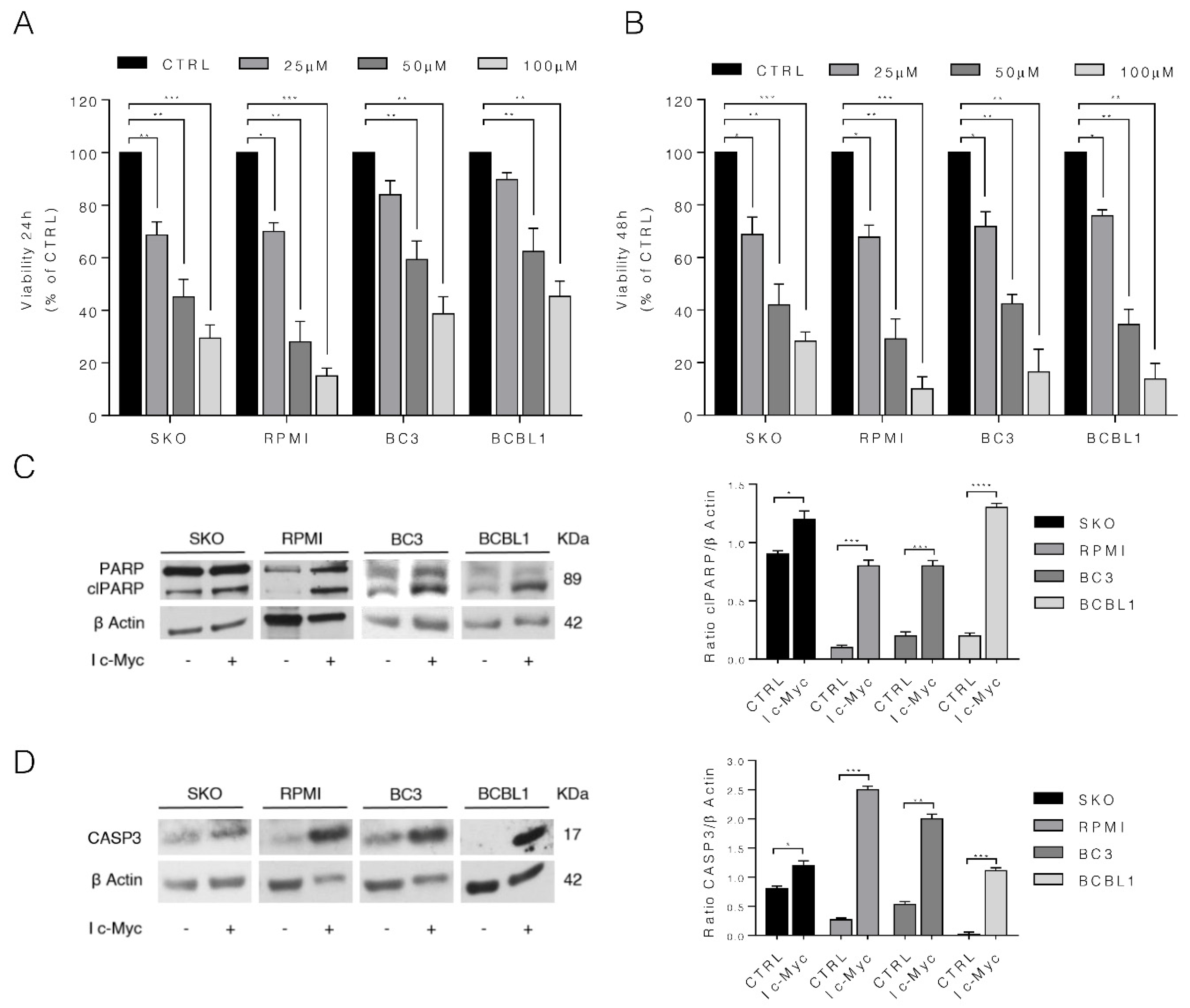 Biomedicines 10 00731 g001