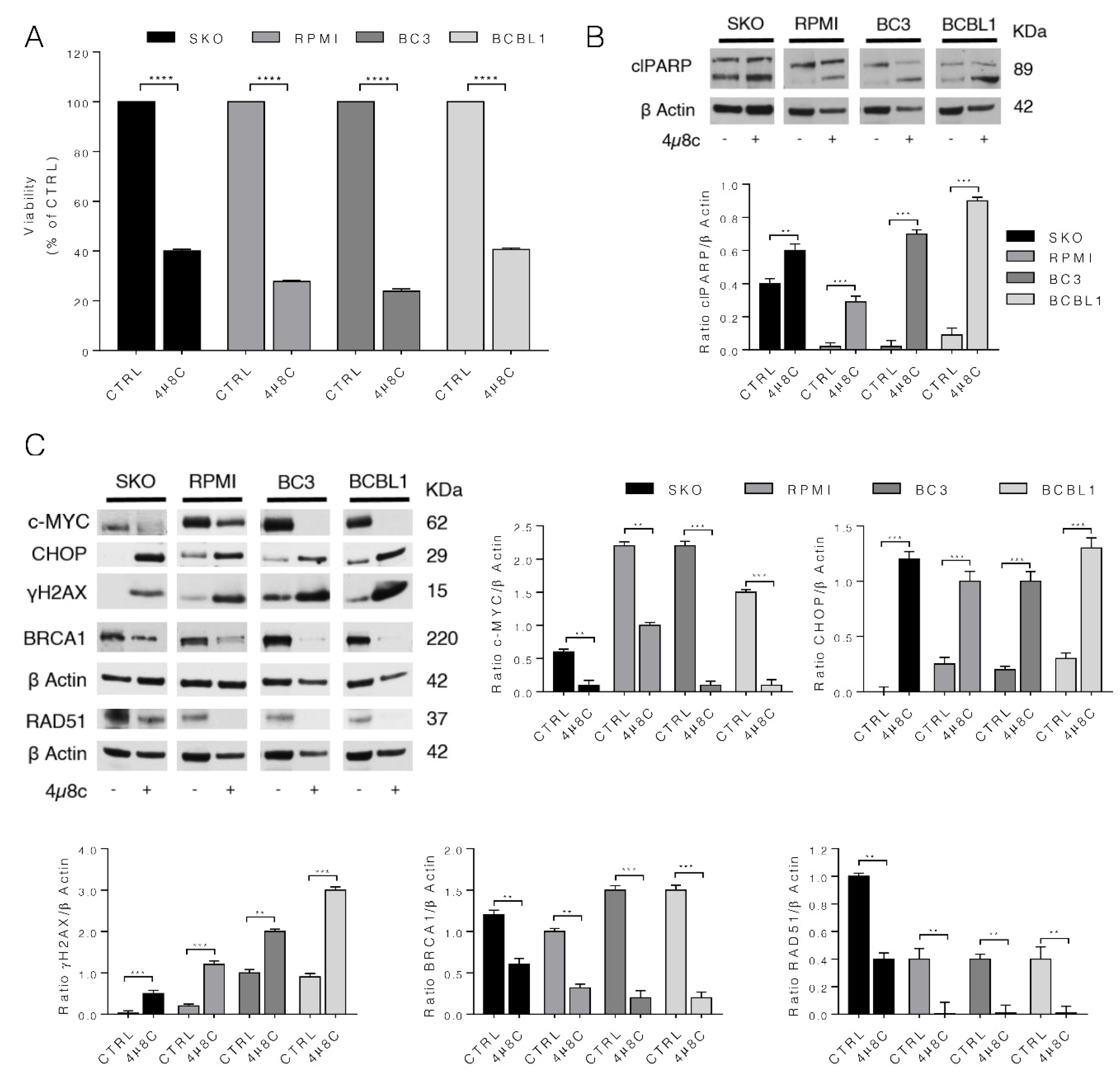 Biomedicines 10 00731 g005