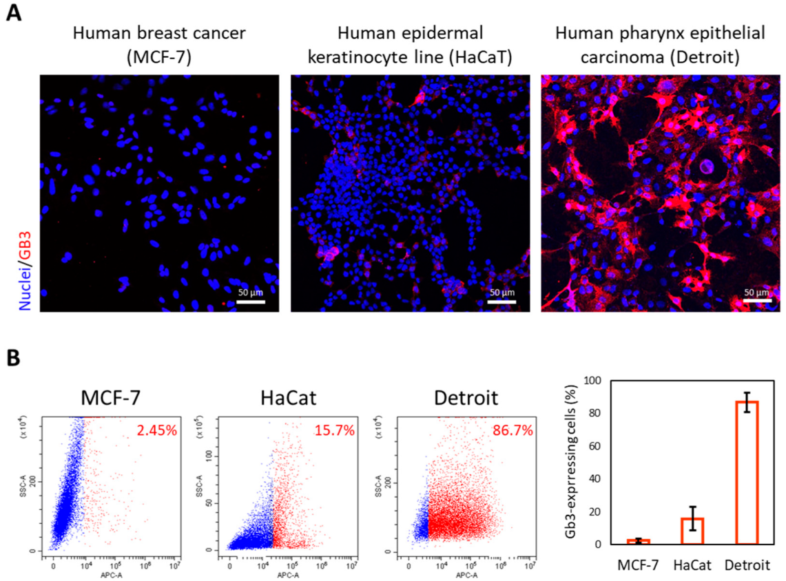Biomedicines 10 00732 g001 Biomedicines 10 00732 g001