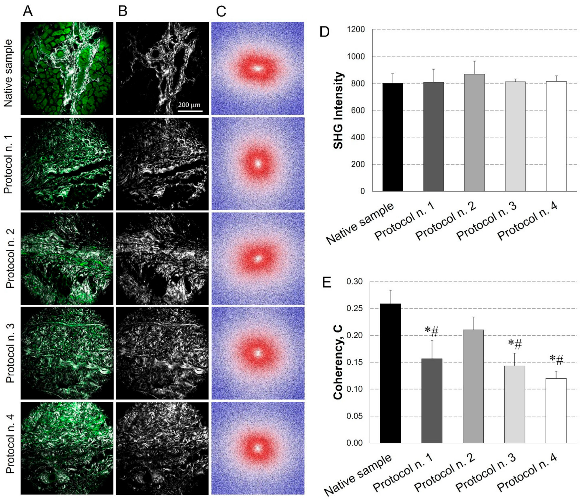 Biomedicines 10 00739 g005