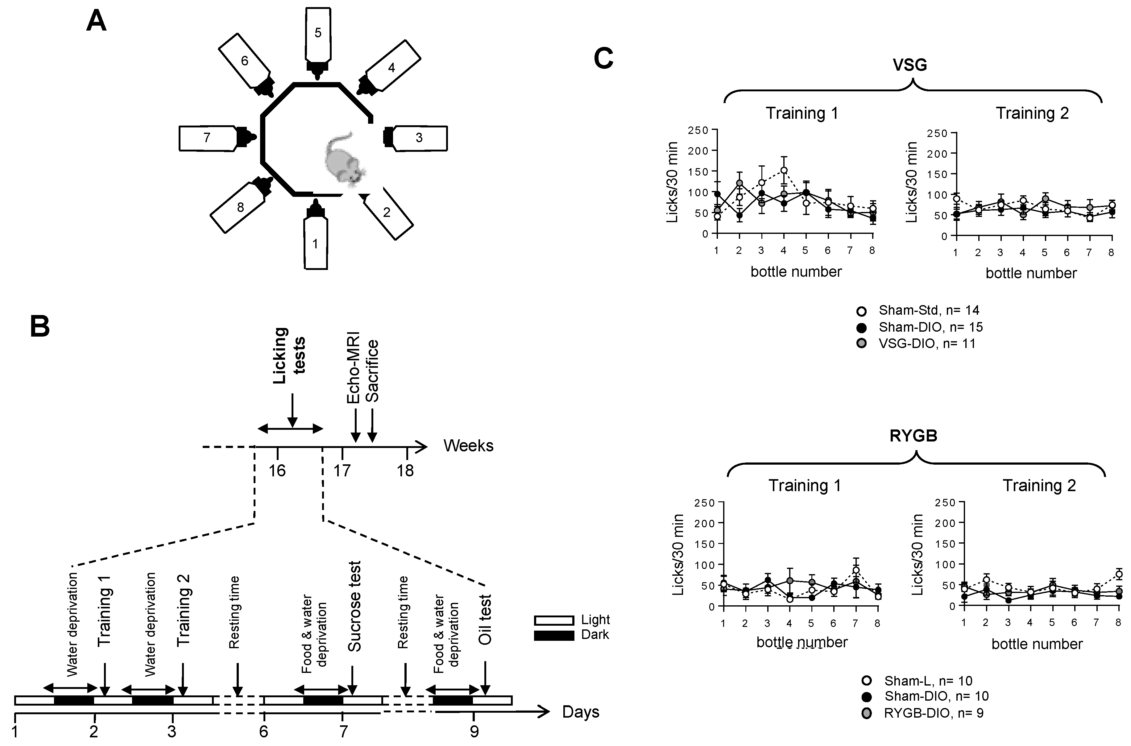 Biomedicines 10 00741 g002