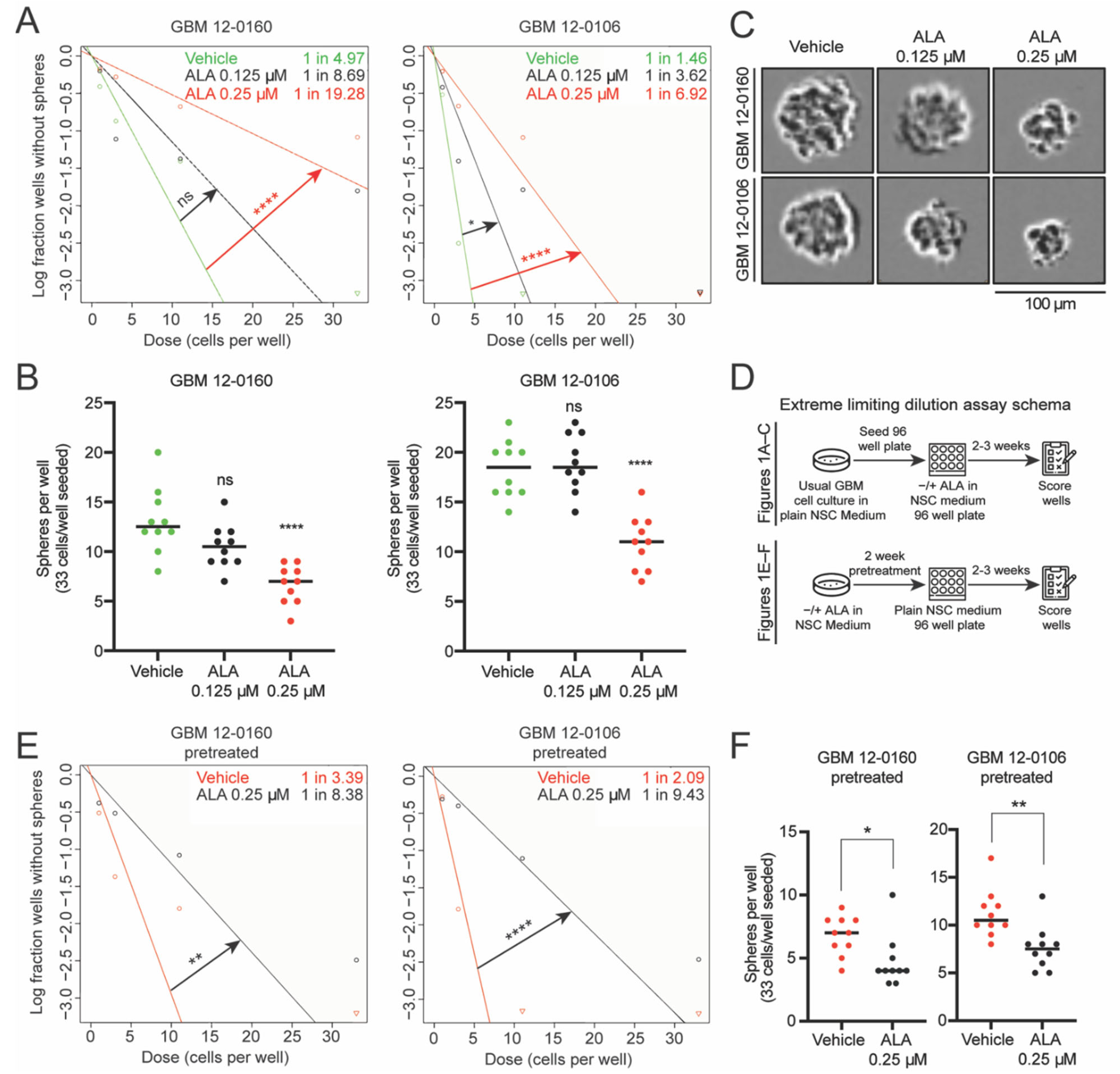 Biomedicines 10 00751 g001